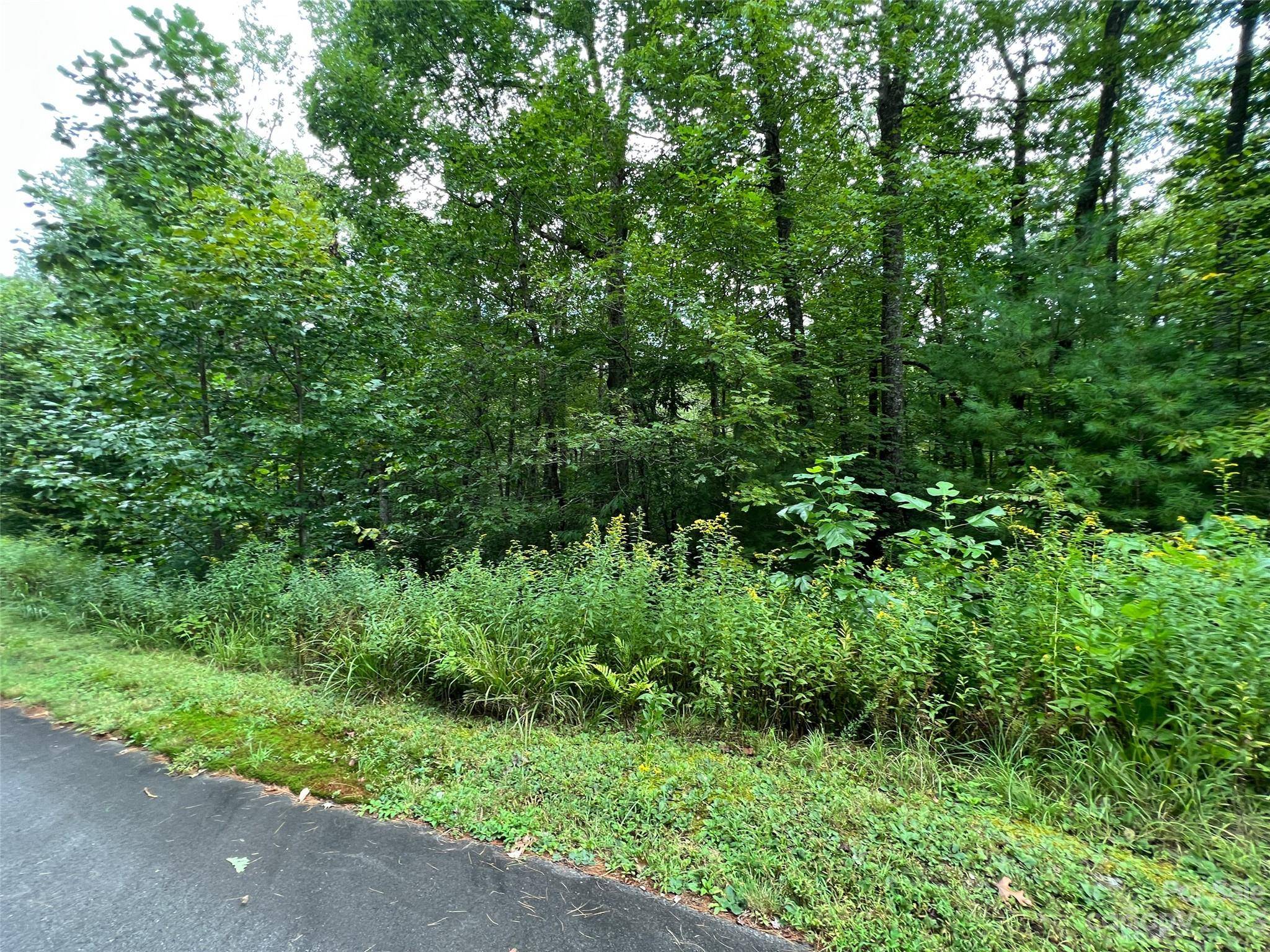 103 Laurel Thicket LN, Brevard, NC 28712