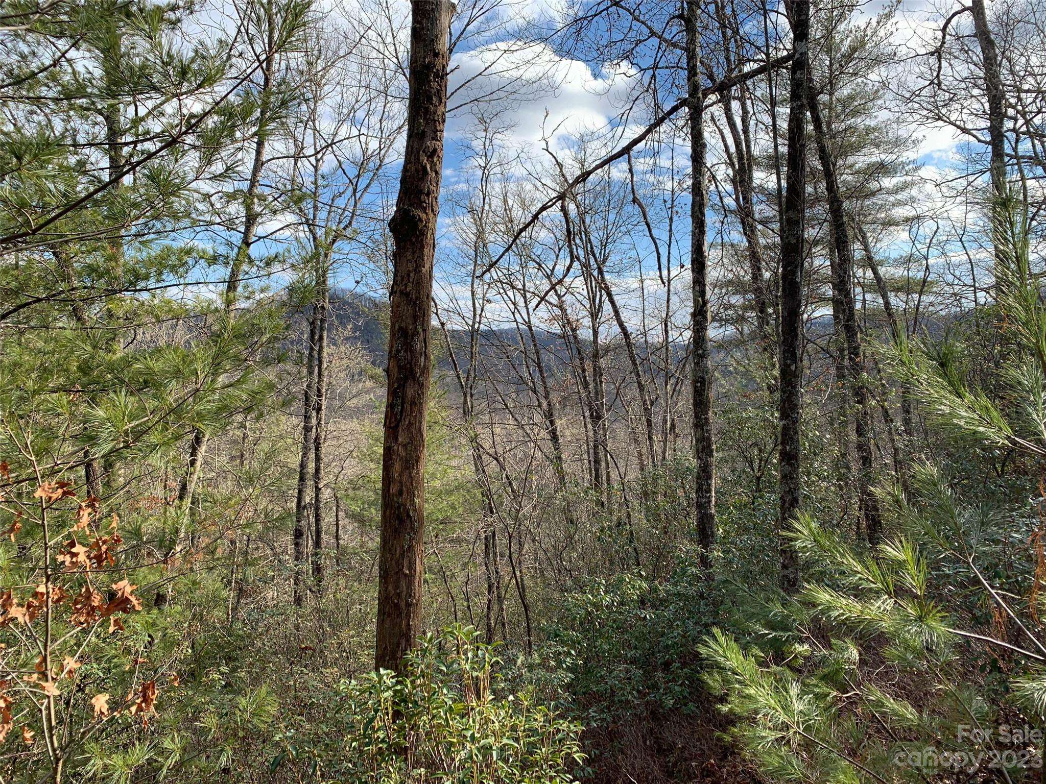 91 Laurel Thicket LN, Brevard, NC 28712