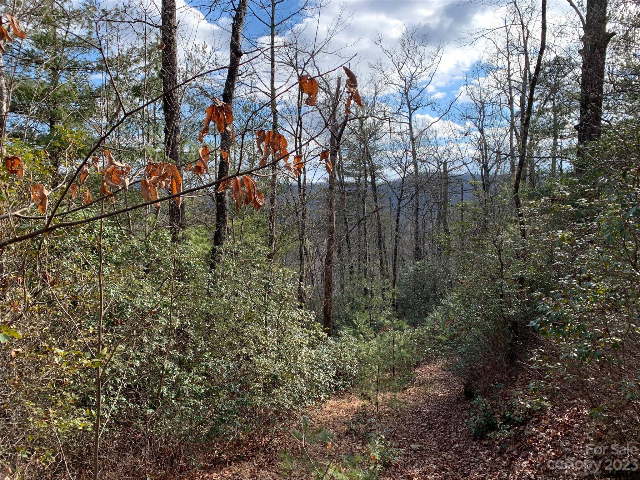 91 Laurel Thicket LN, Brevard, NC 28712