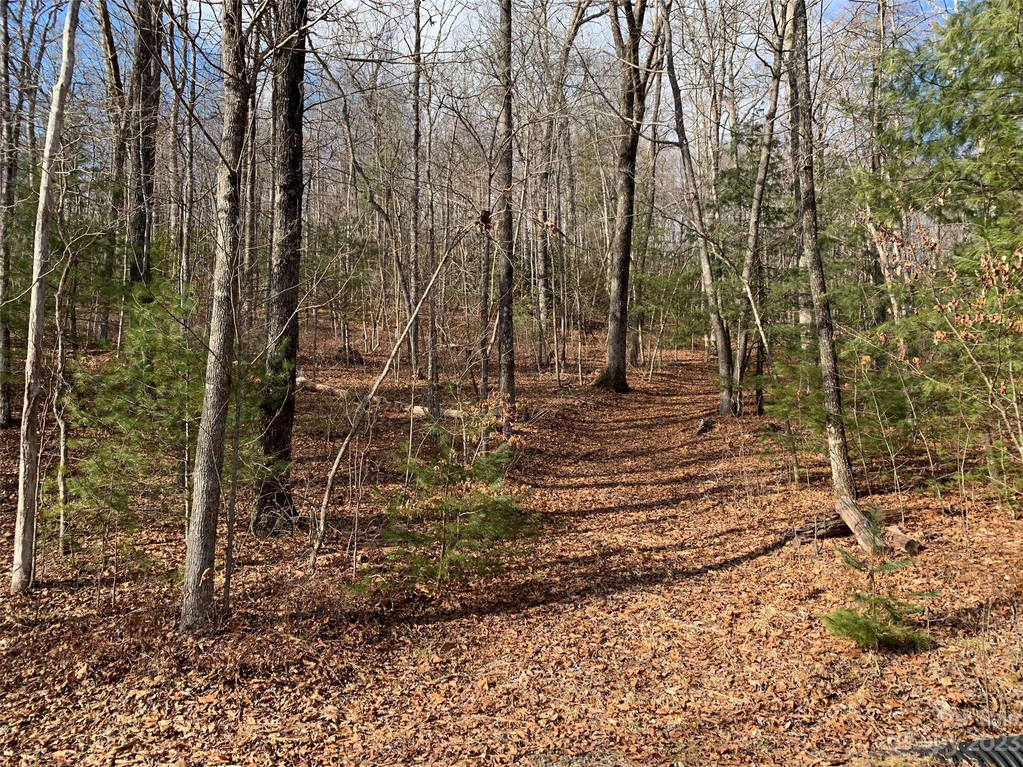 91 Laurel Thicket LN, Brevard, NC 28712