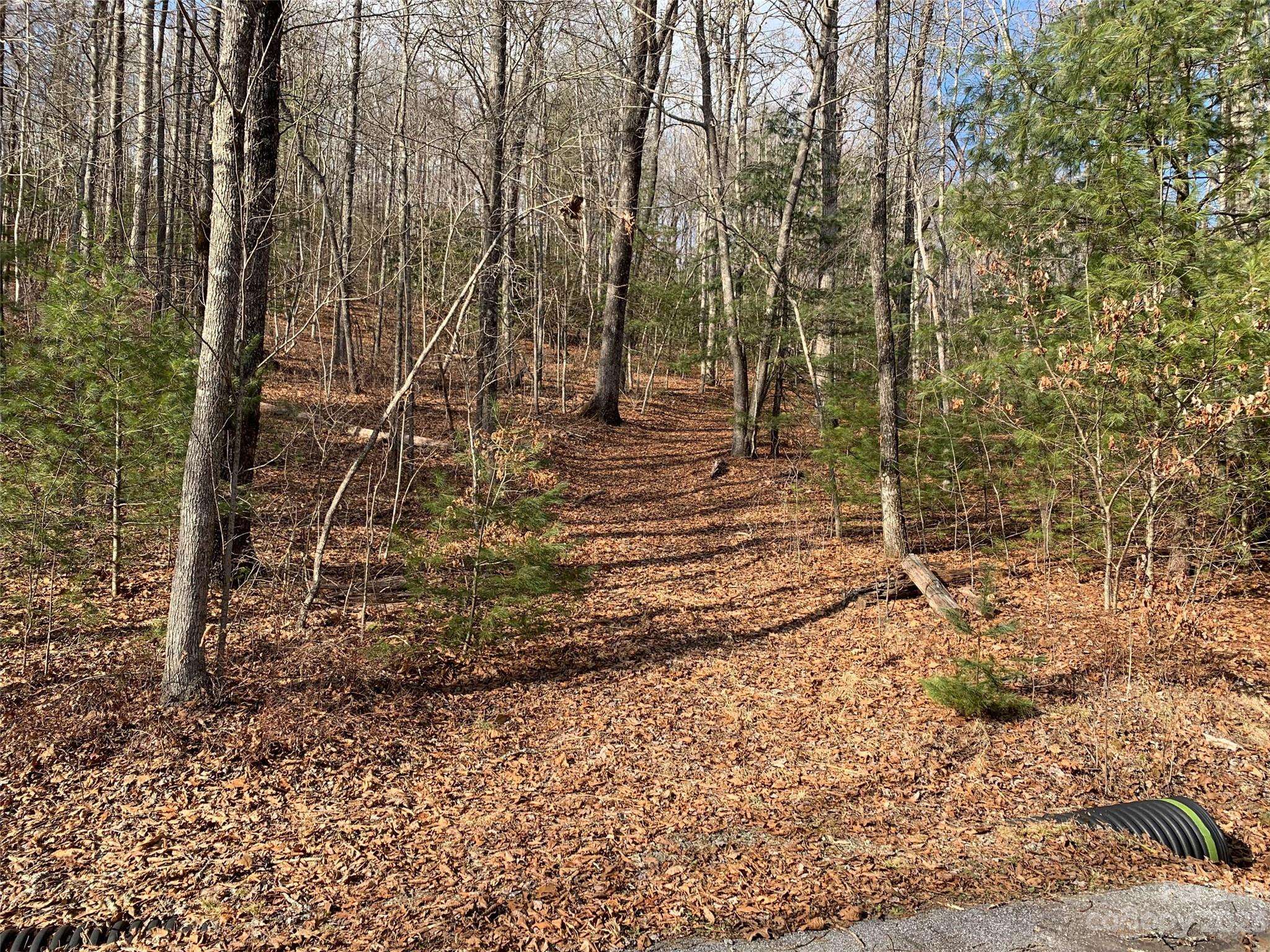 91 Laurel Thicket LN, Brevard, NC 28712