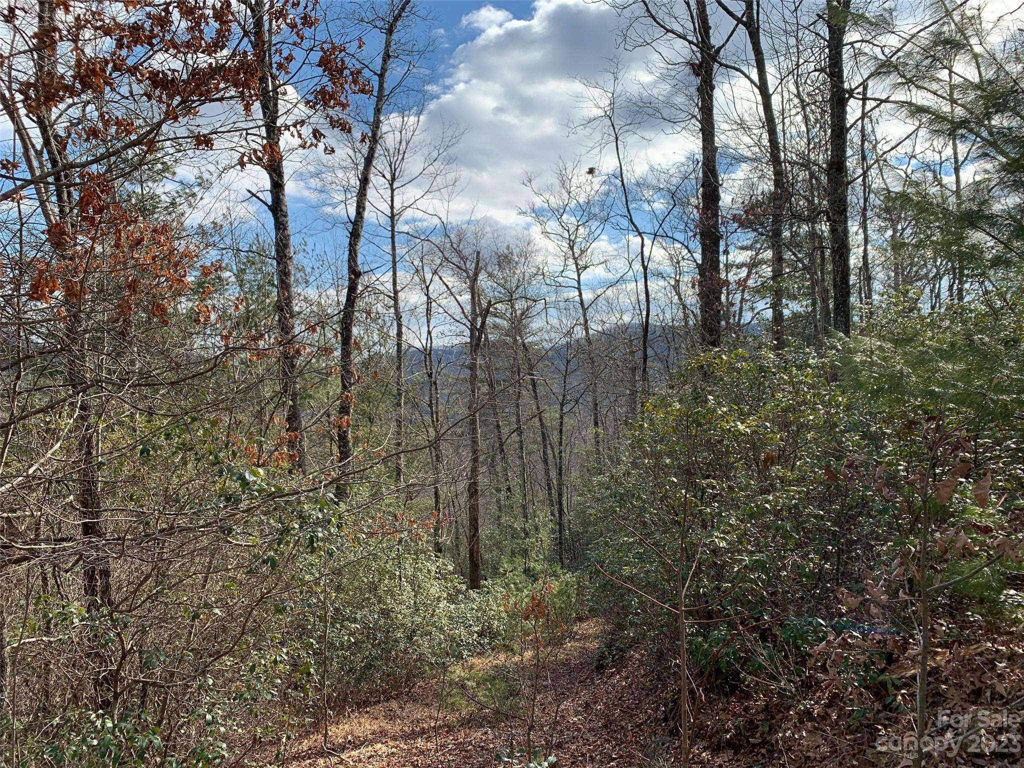 91 Laurel Thicket LN, Brevard, NC 28712