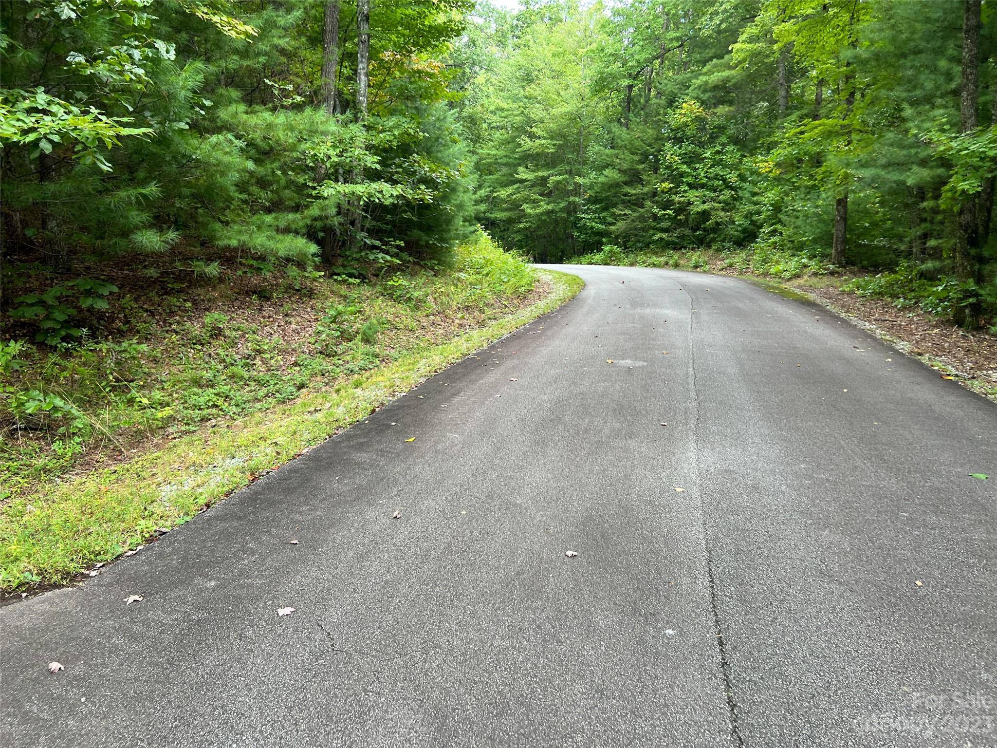106 Green Hollow LN, Brevard, NC 28712