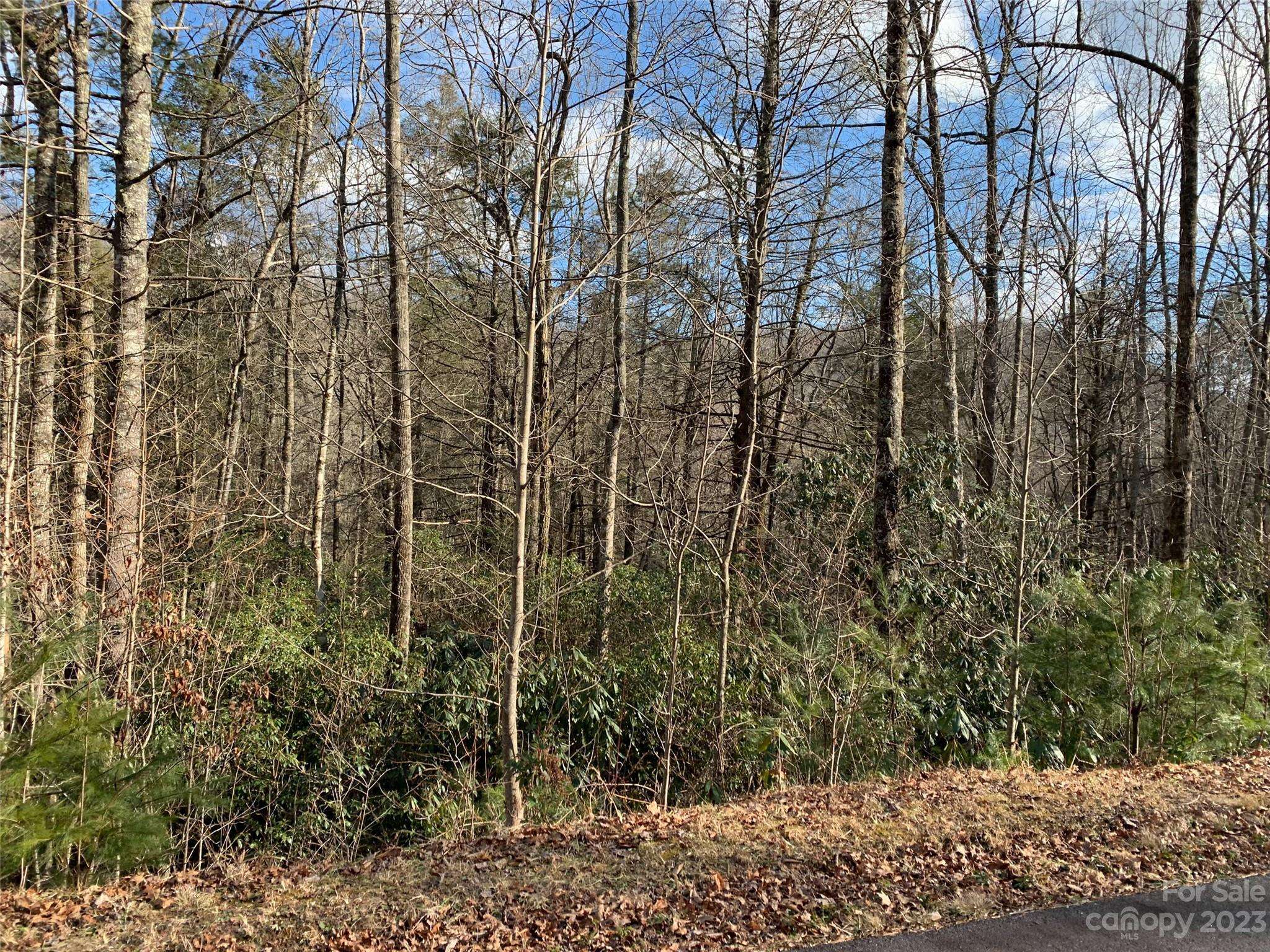 126 Green Hollow LN, Brevard, NC 28712