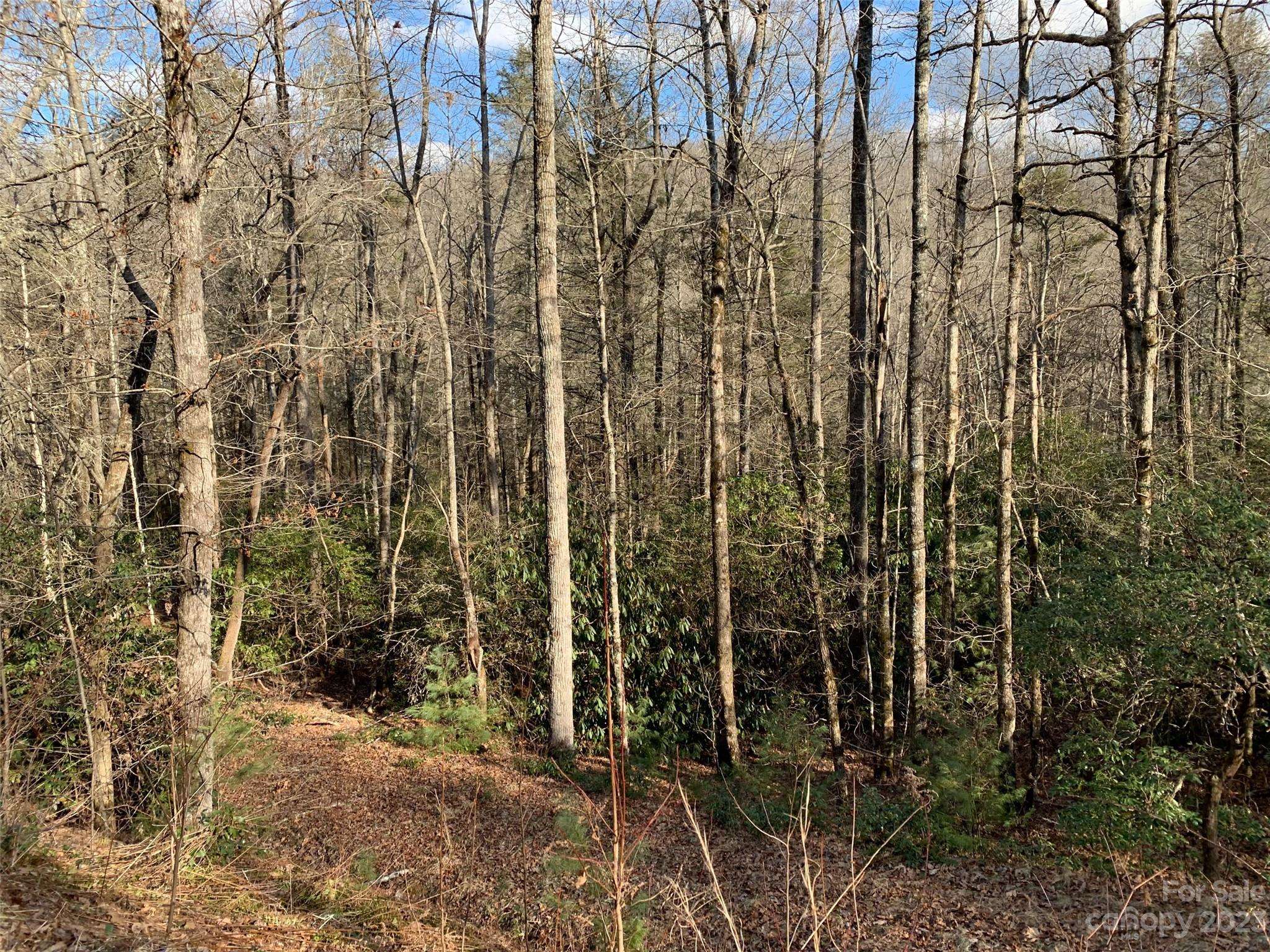 126 Green Hollow LN, Brevard, NC 28712