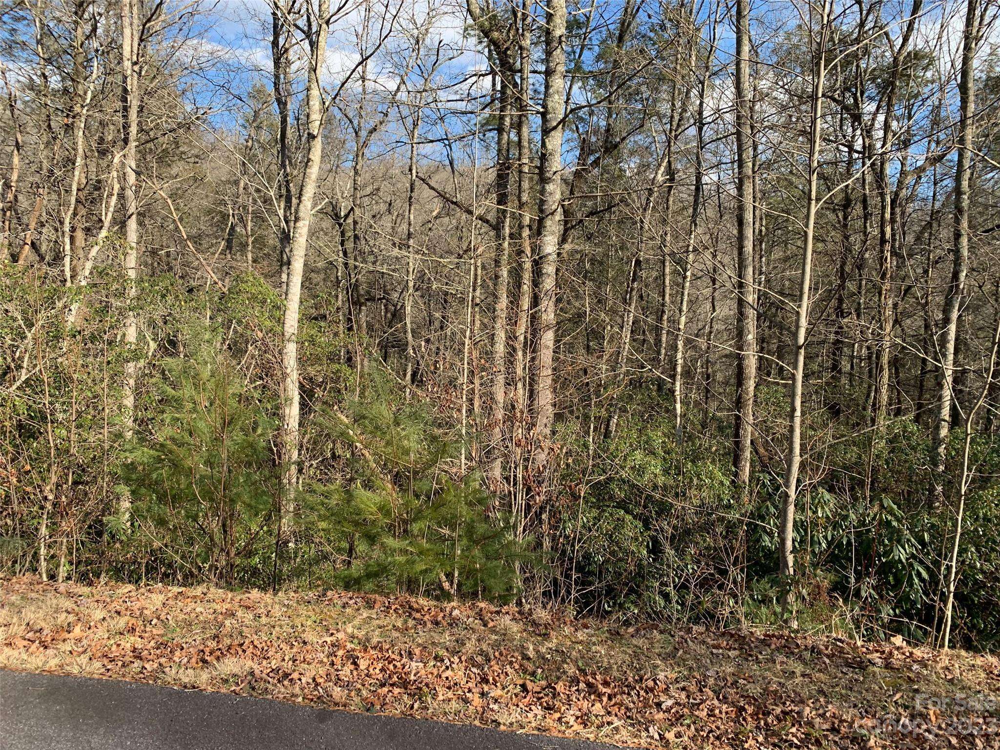 126 Green Hollow LN, Brevard, NC 28712