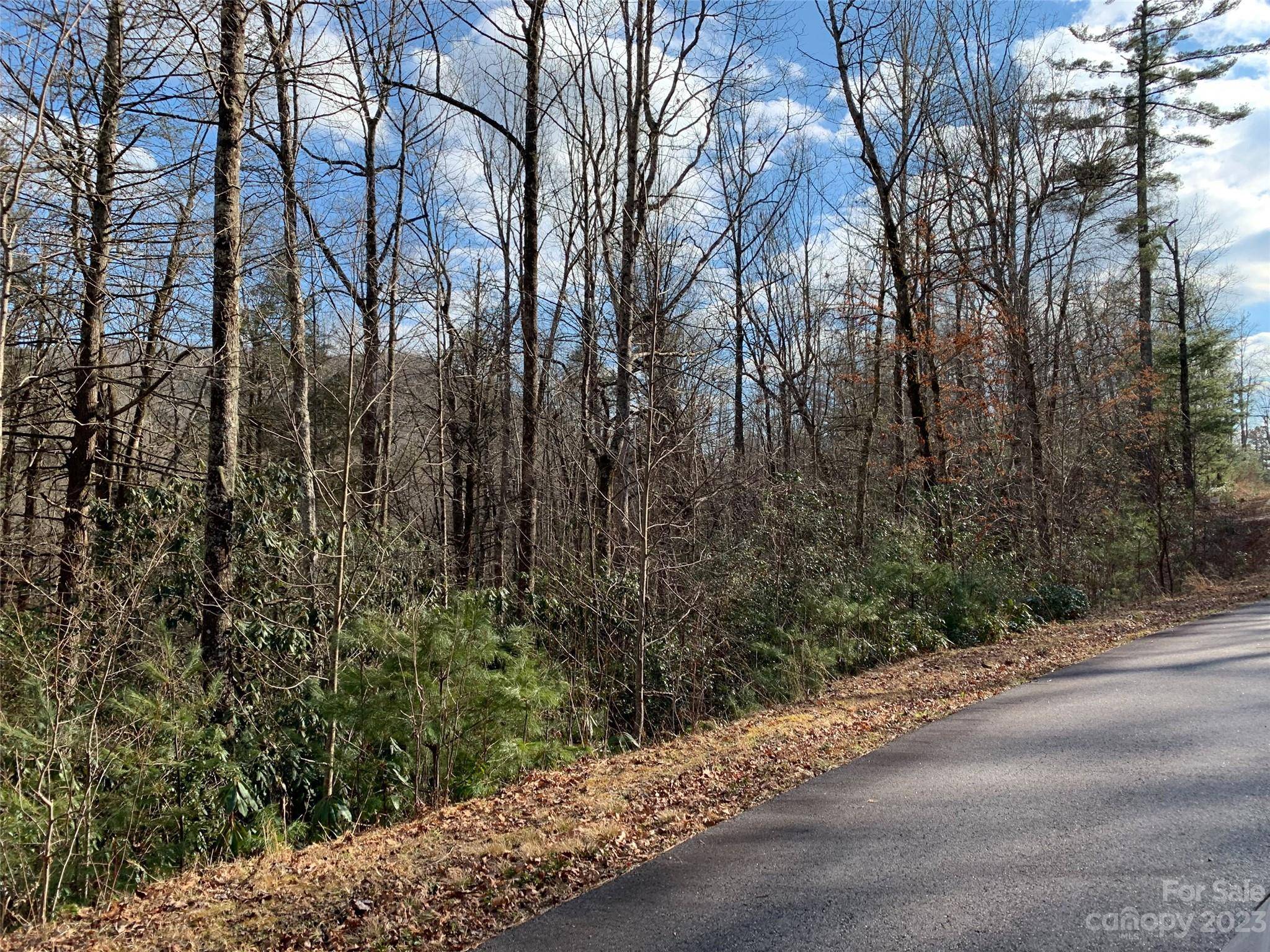 126 Green Hollow LN, Brevard, NC 28712