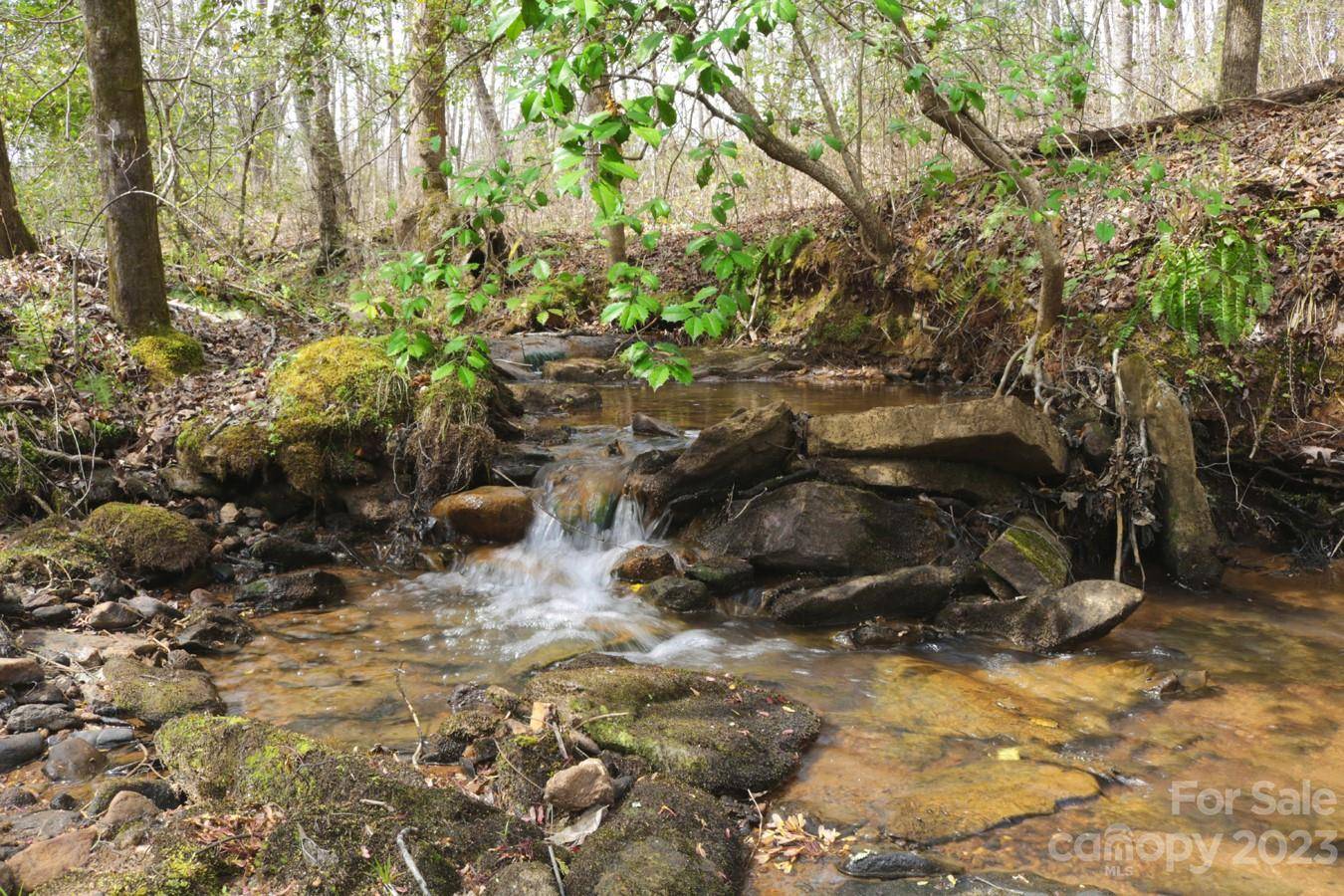 0 Westridge DR #88, Lake Lure, NC 28746