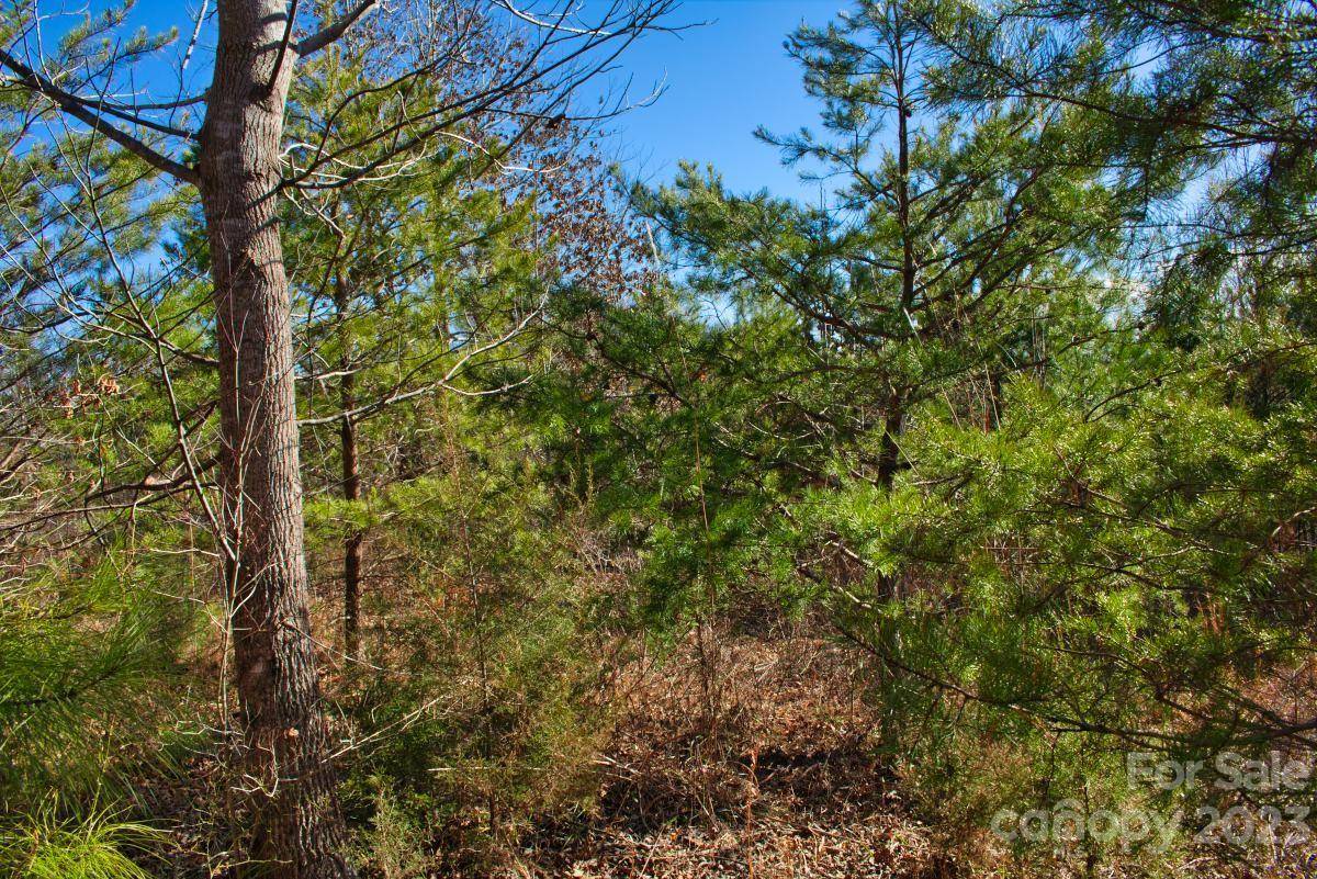 0 Whitestone CIR #81, Union Mills, NC 28167