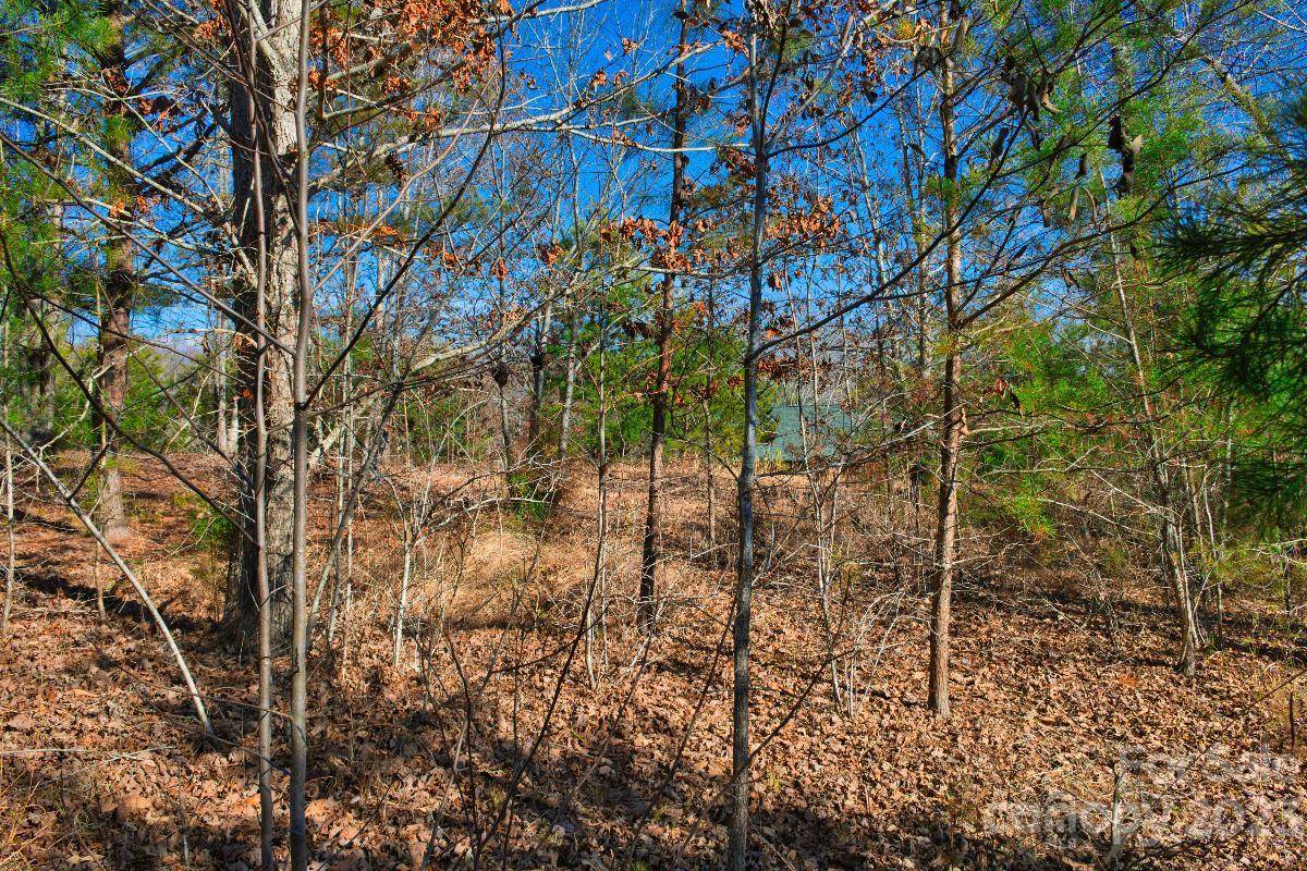 0 Whitestone CIR #81, Union Mills, NC 28167