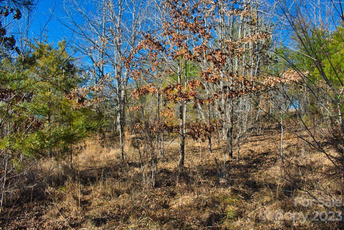 0 Whitestone CIR #81, Union Mills, NC 28167