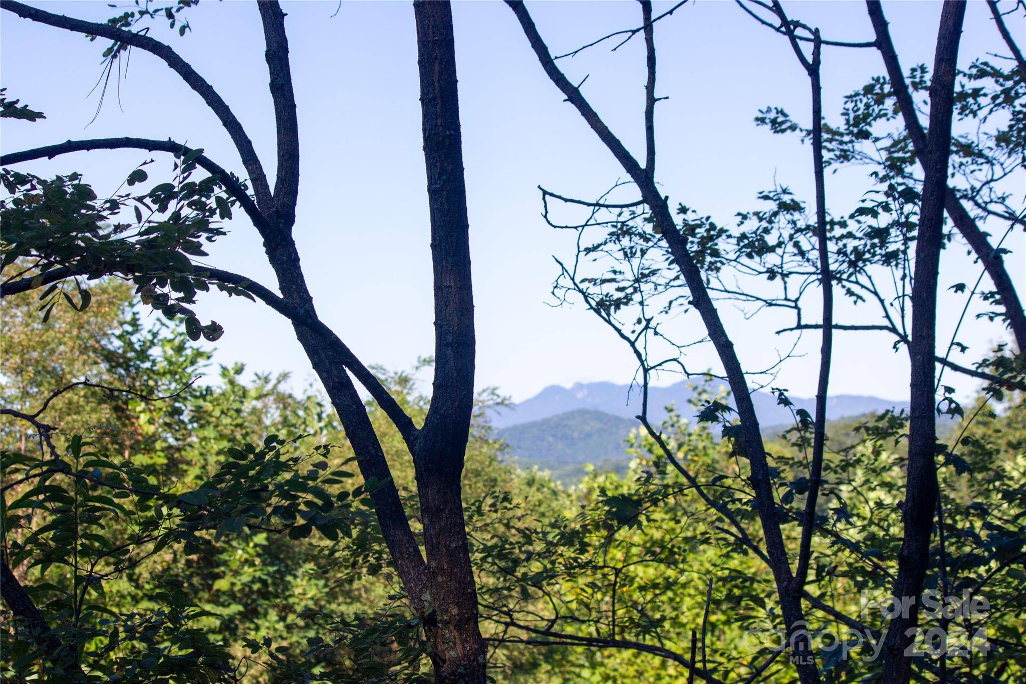 Lot# 134 Fire Crest LN #134, Lenoir, NC 28645