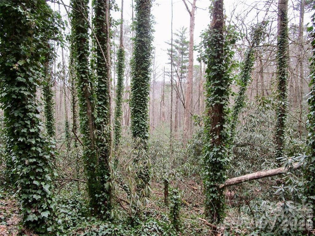 Lot #21 Toxaway Falls DR, Lake Toxaway, NC 28747