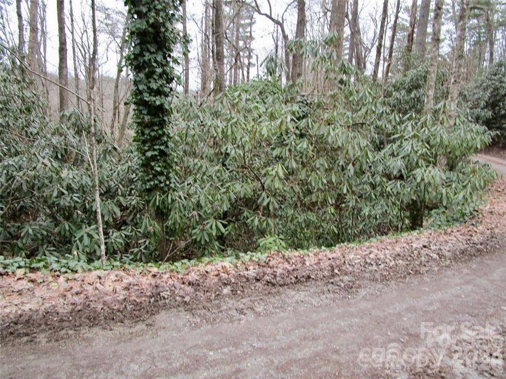 Lot #21 Toxaway Falls DR, Lake Toxaway, NC 28747