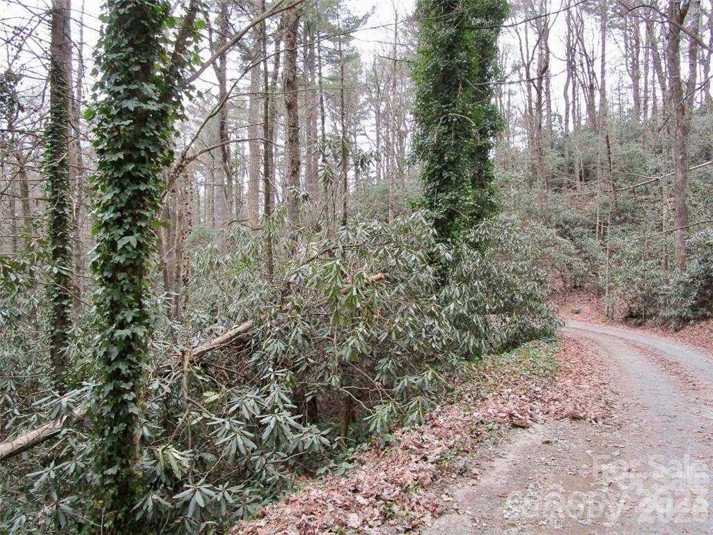 Lot #21 Toxaway Falls DR, Lake Toxaway, NC 28747