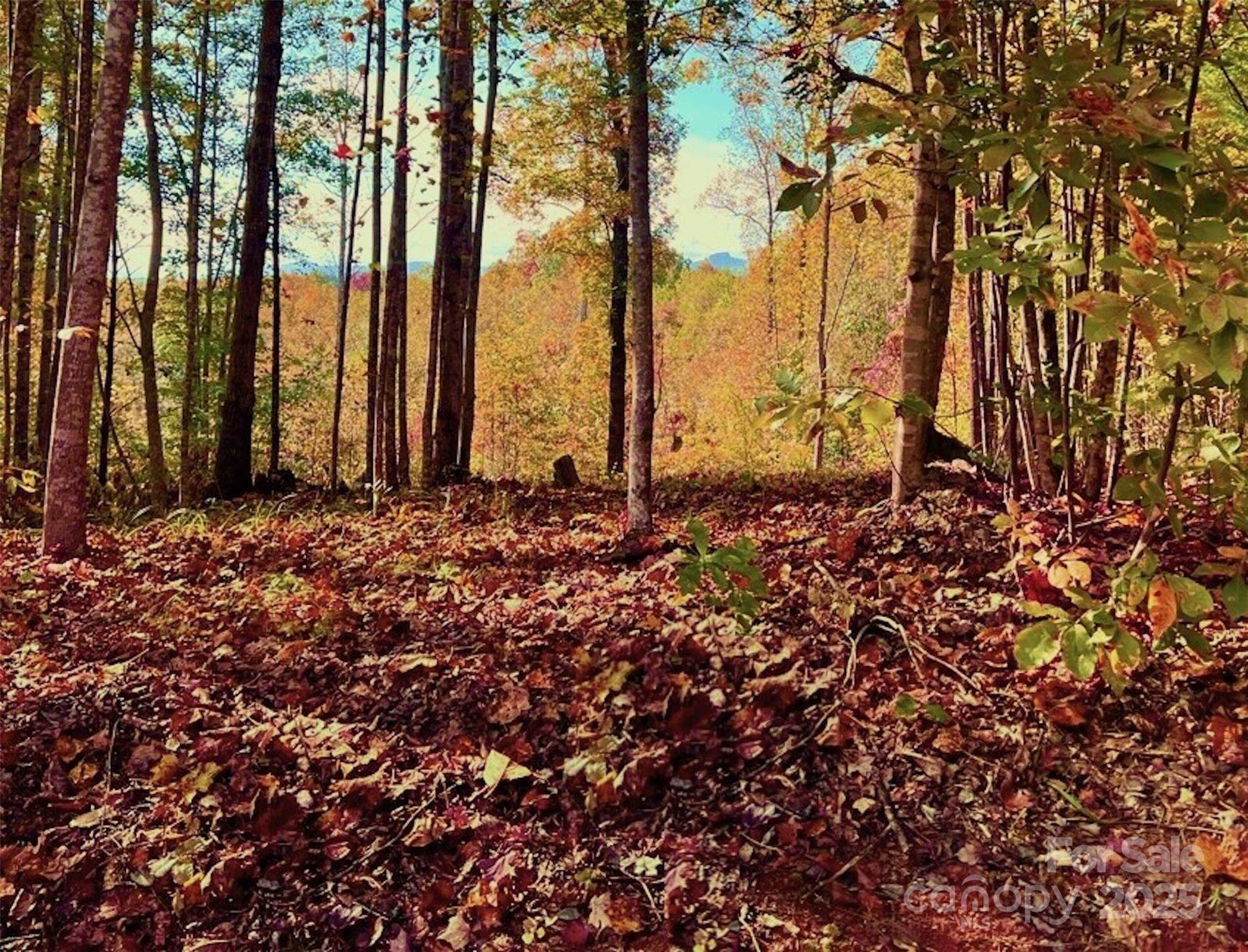 1.85 acres, Lot 925 High Valley WAY #925, Lenoir, NC 28645