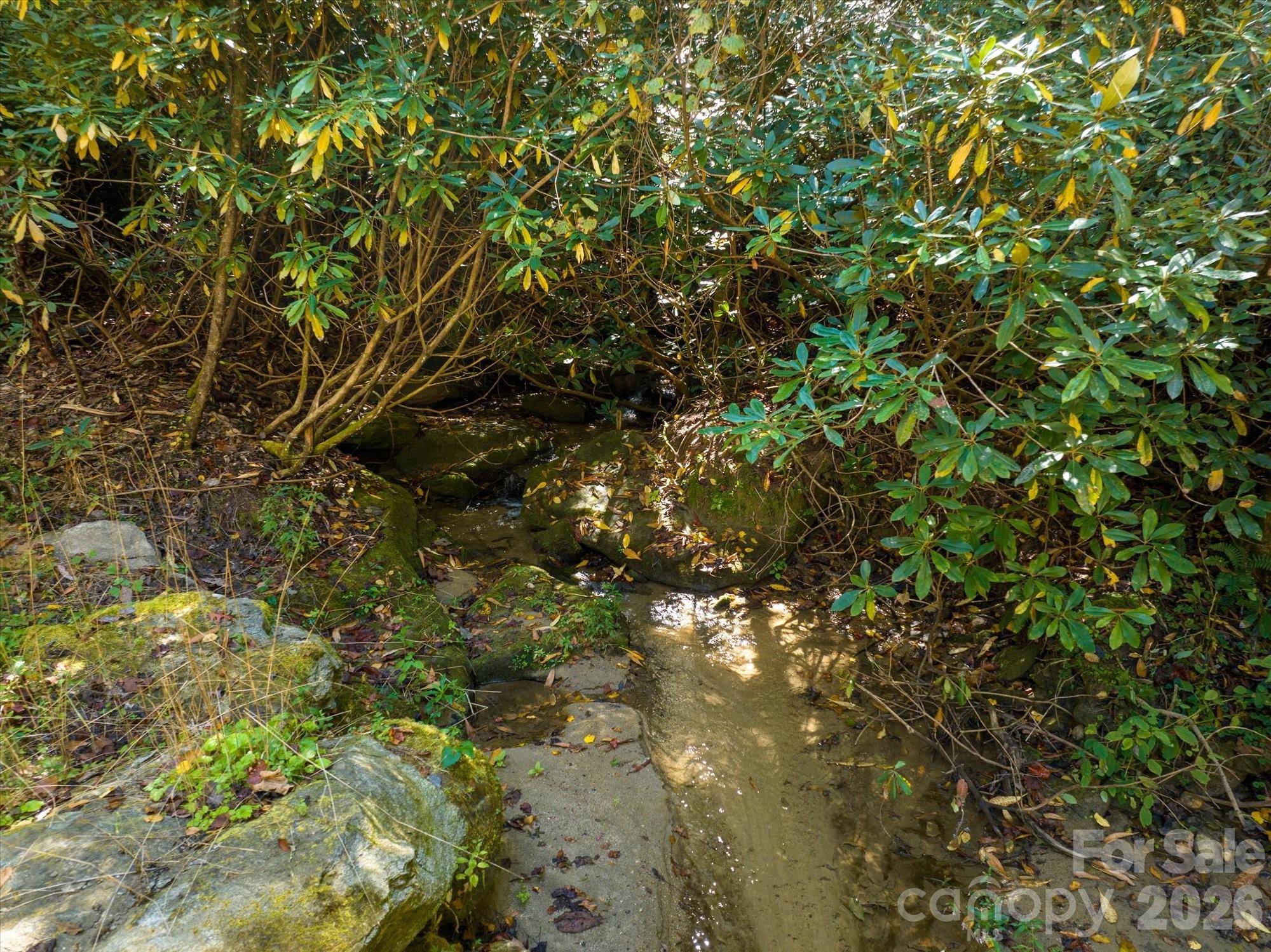 0 Big Hungry RD, Flat Rock, NC 28731