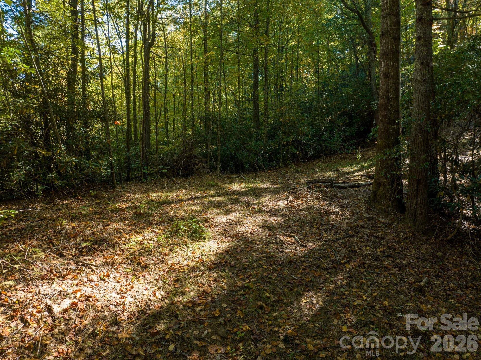 0 Big Hungry RD, Flat Rock, NC 28731