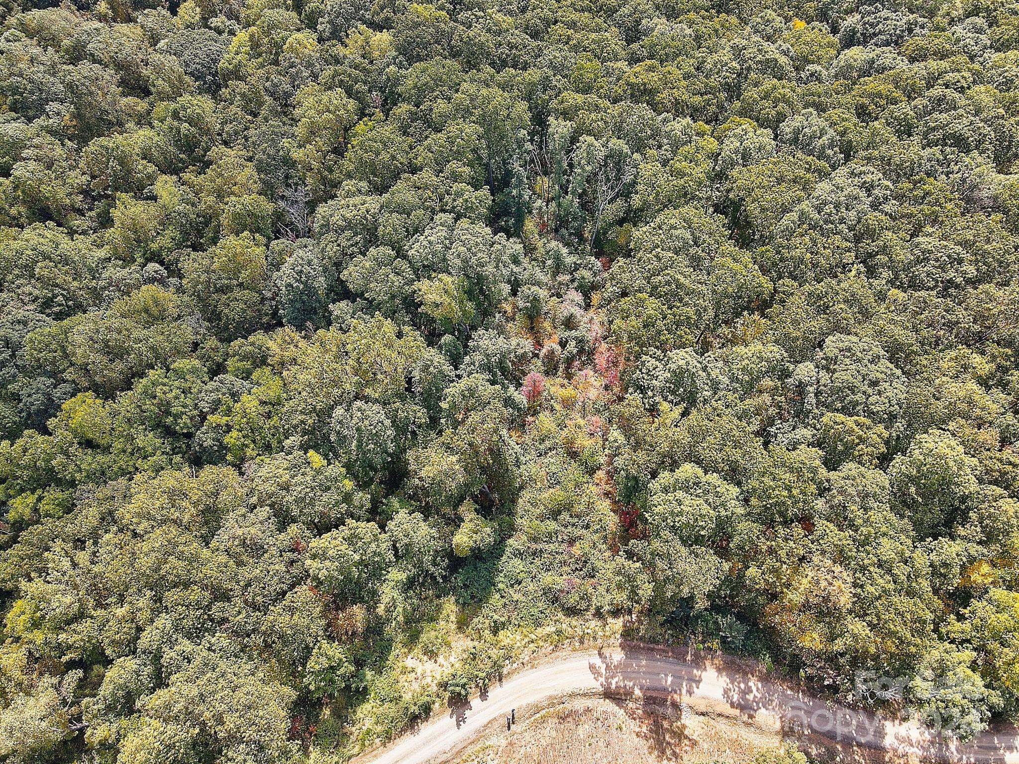 000 High Rock View DR #32, Canton, NC 28716