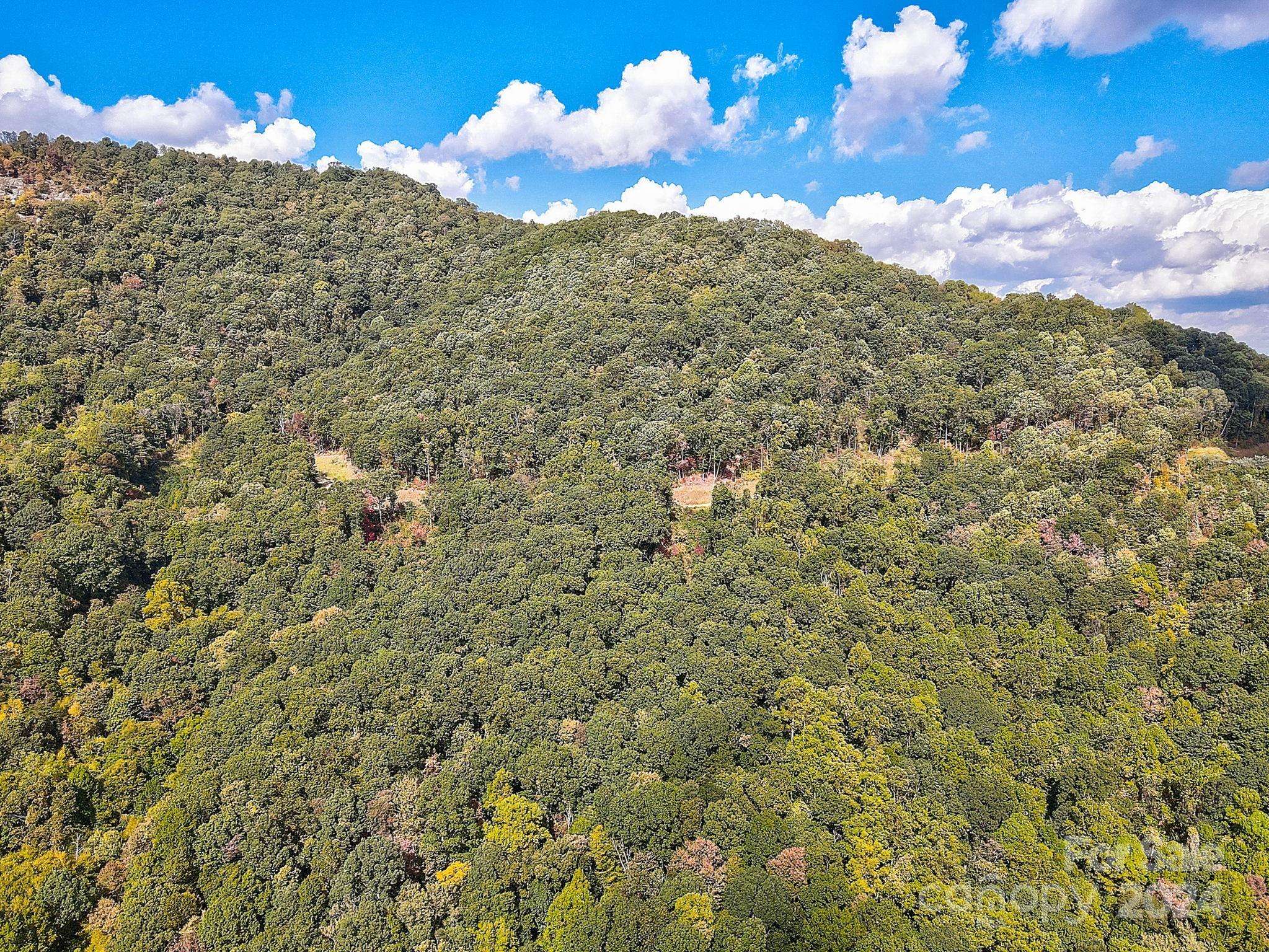000 High Rock View DR #32, Canton, NC 28716