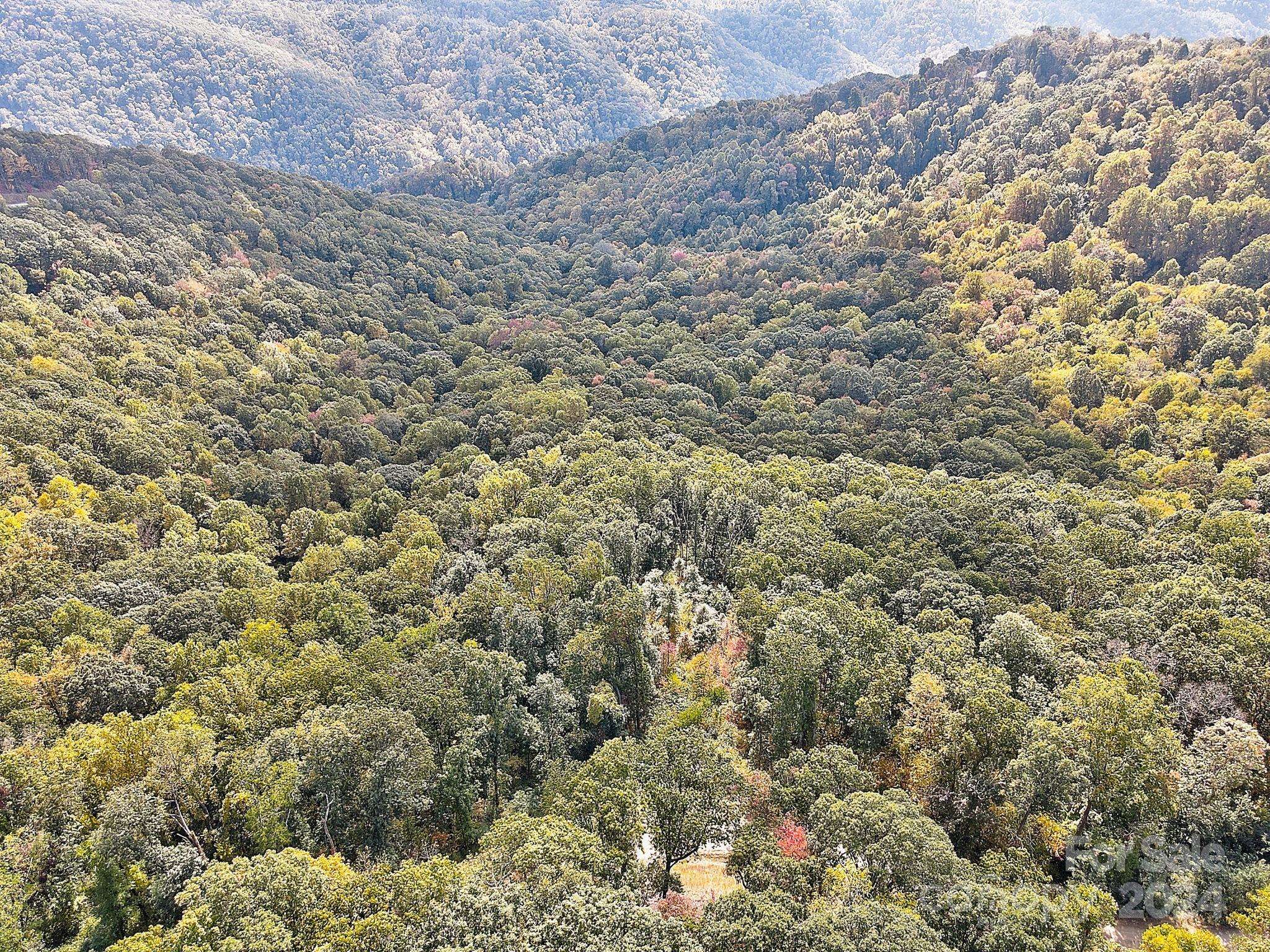 000 High Rock View DR #32, Canton, NC 28716