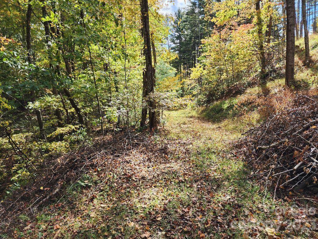 00 Thorncrest DR #23, Burnsville, NC 28714