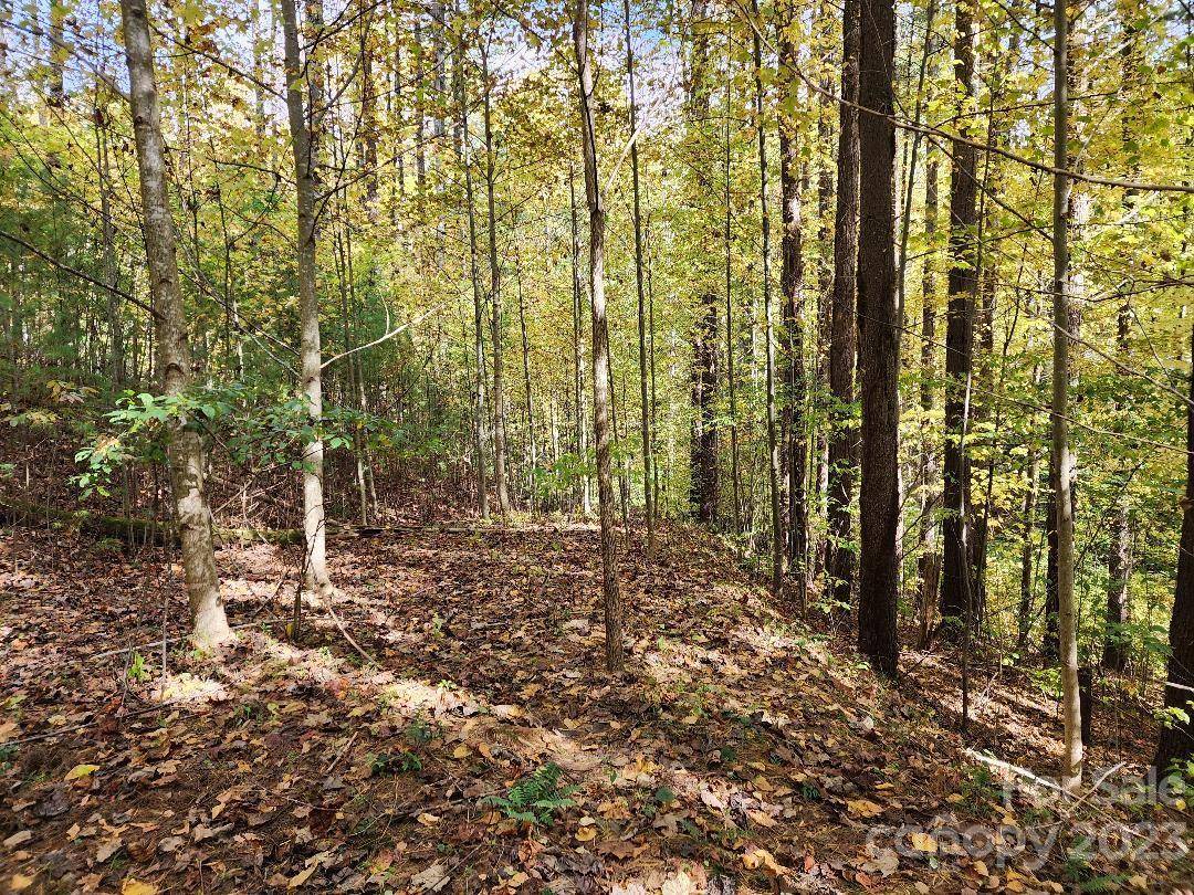 00 Thorncrest DR #23, Burnsville, NC 28714