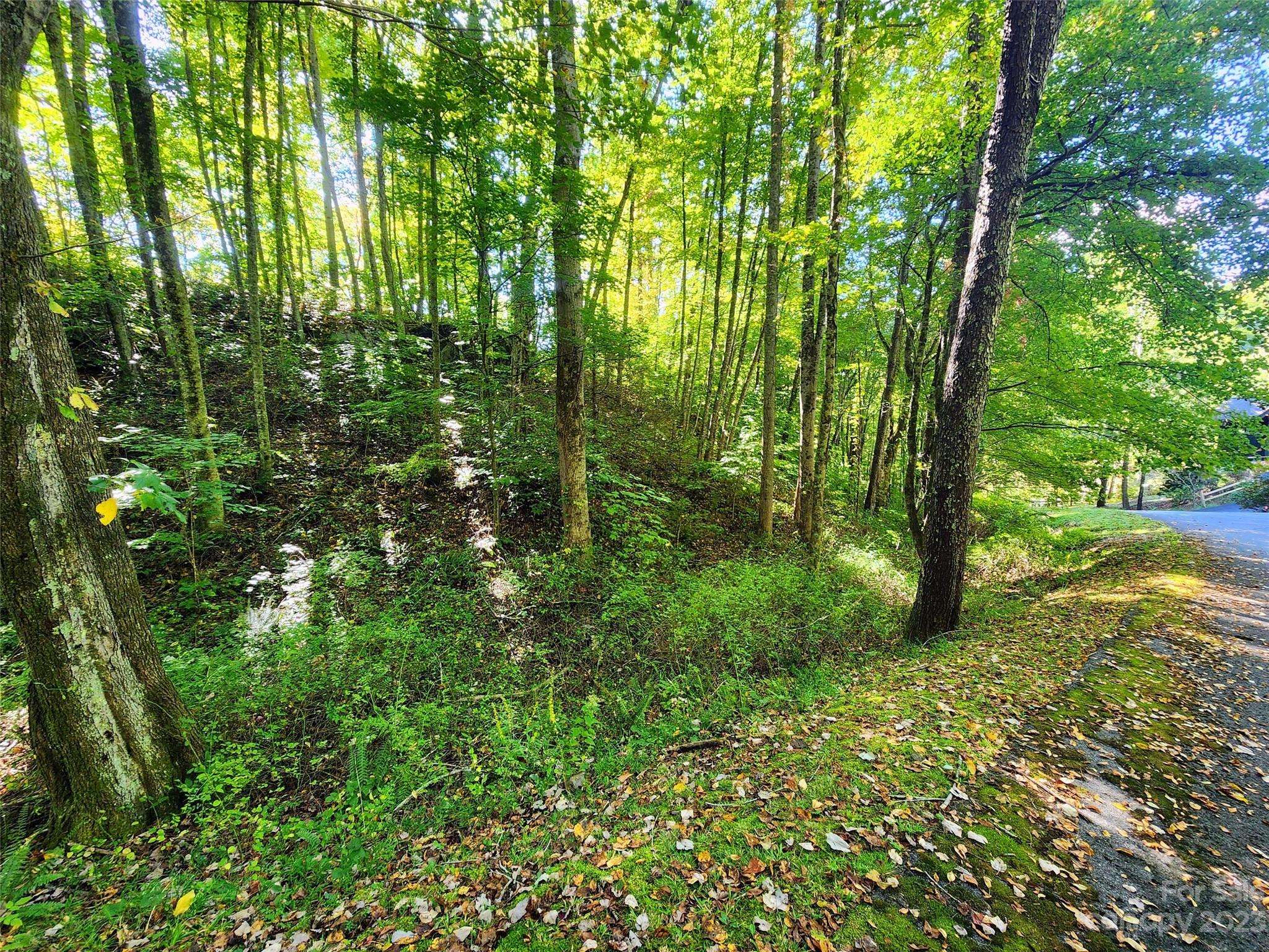 00 Loblolly WAY #C7, Maggie Valley, NC 28751