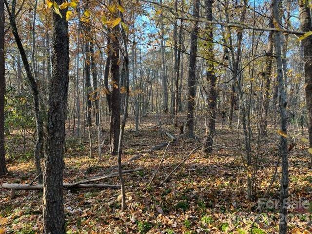 TBD Shady LN, Mill Spring, NC 28756