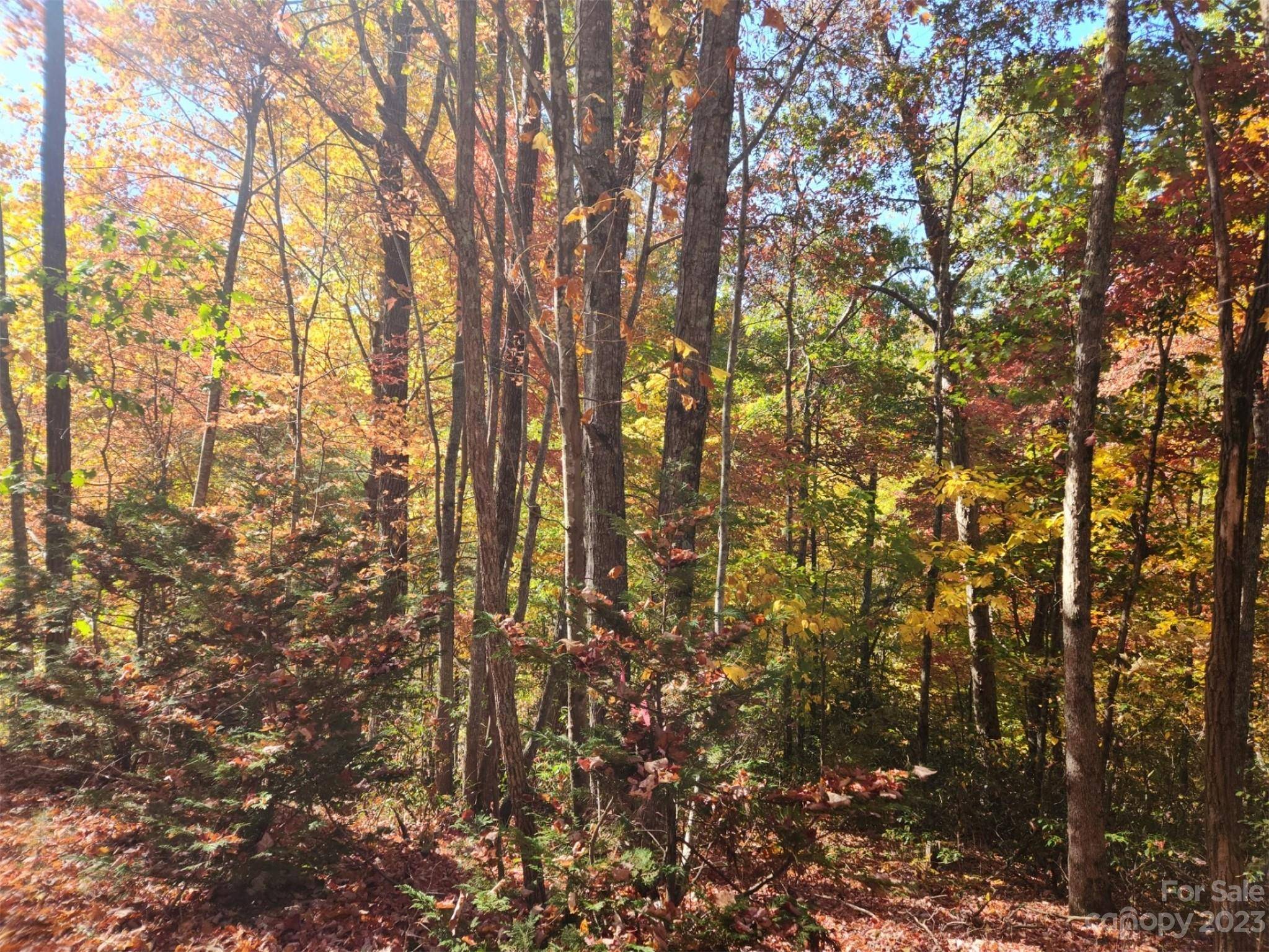 00 Angel of the Lake DR #17, Lake Lure, NC 28746