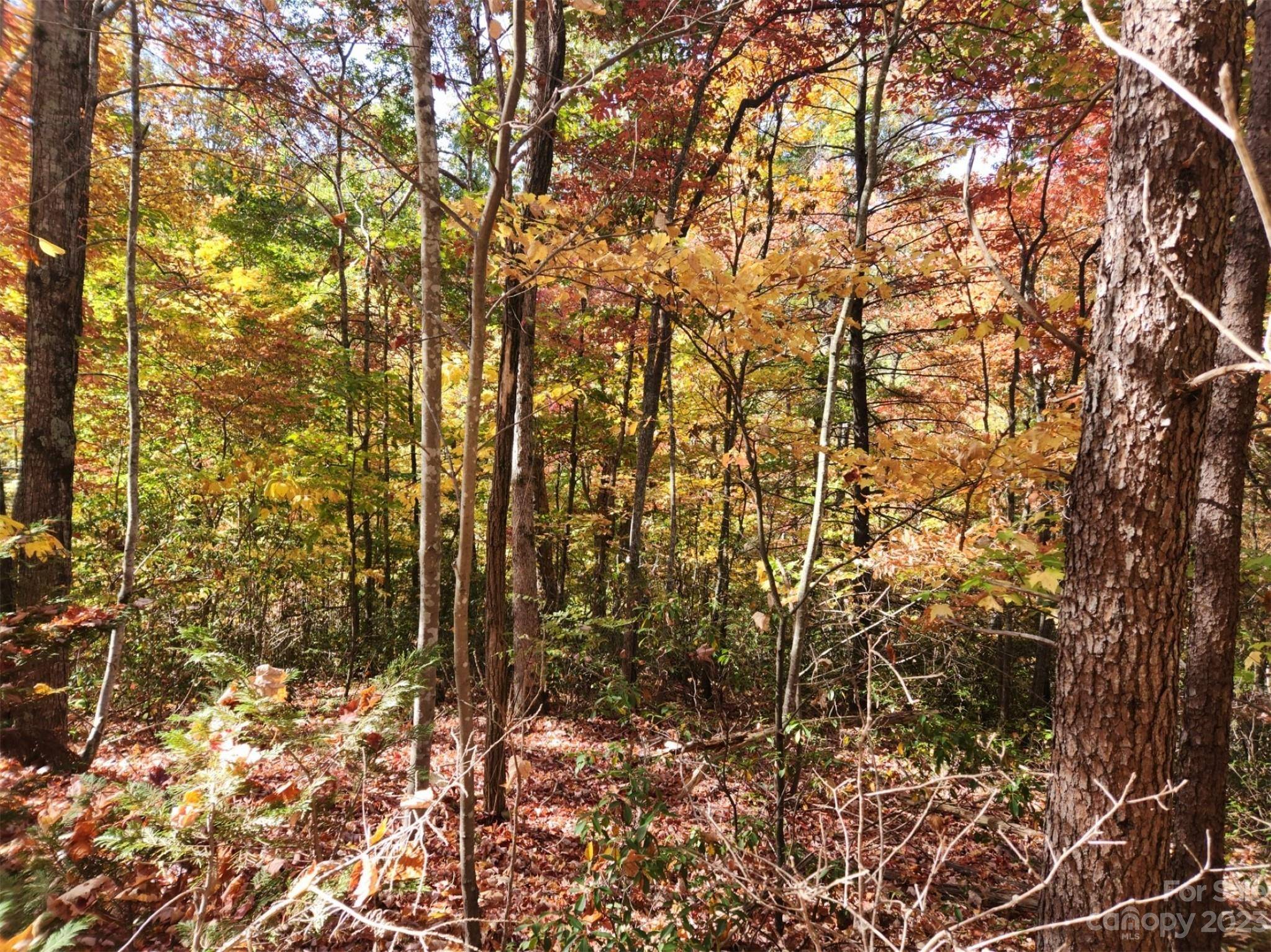 00 Angel of the Lake DR #17, Lake Lure, NC 28746