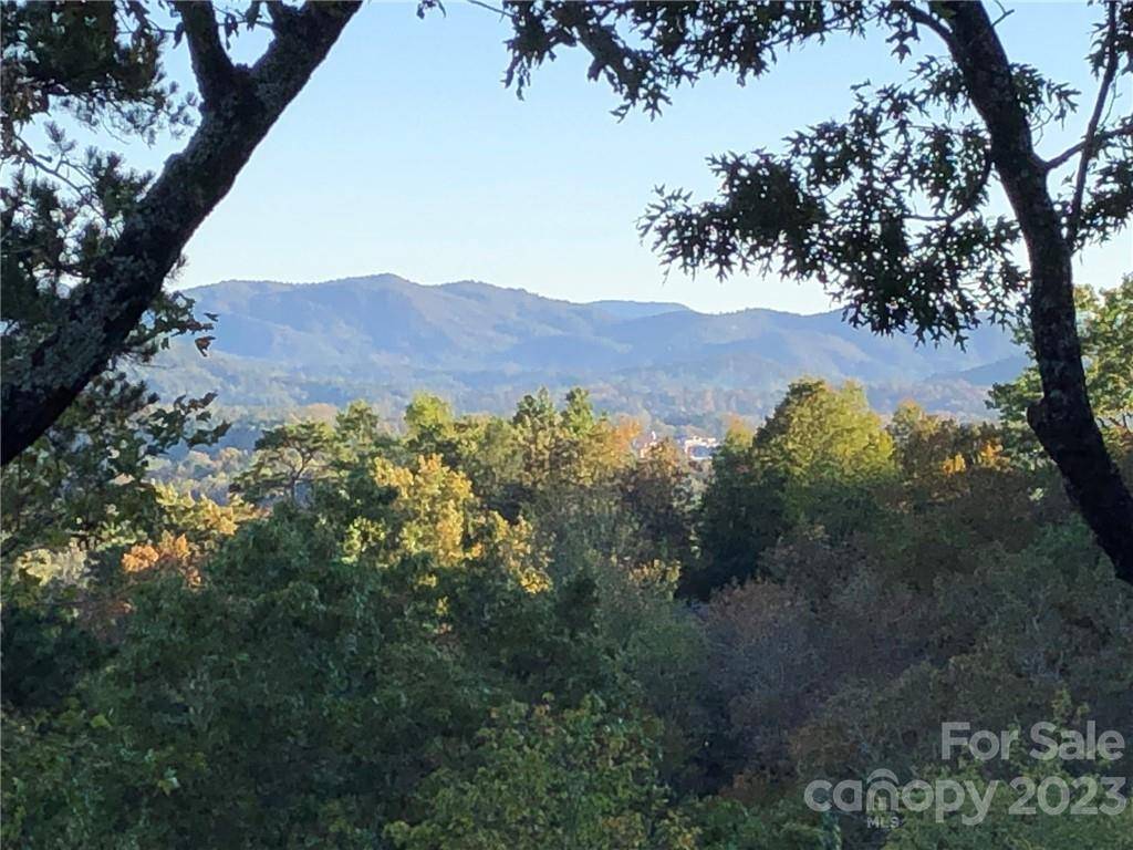 Lot M6 Pine Mountain TRL #M6, Brevard, NC 28712
