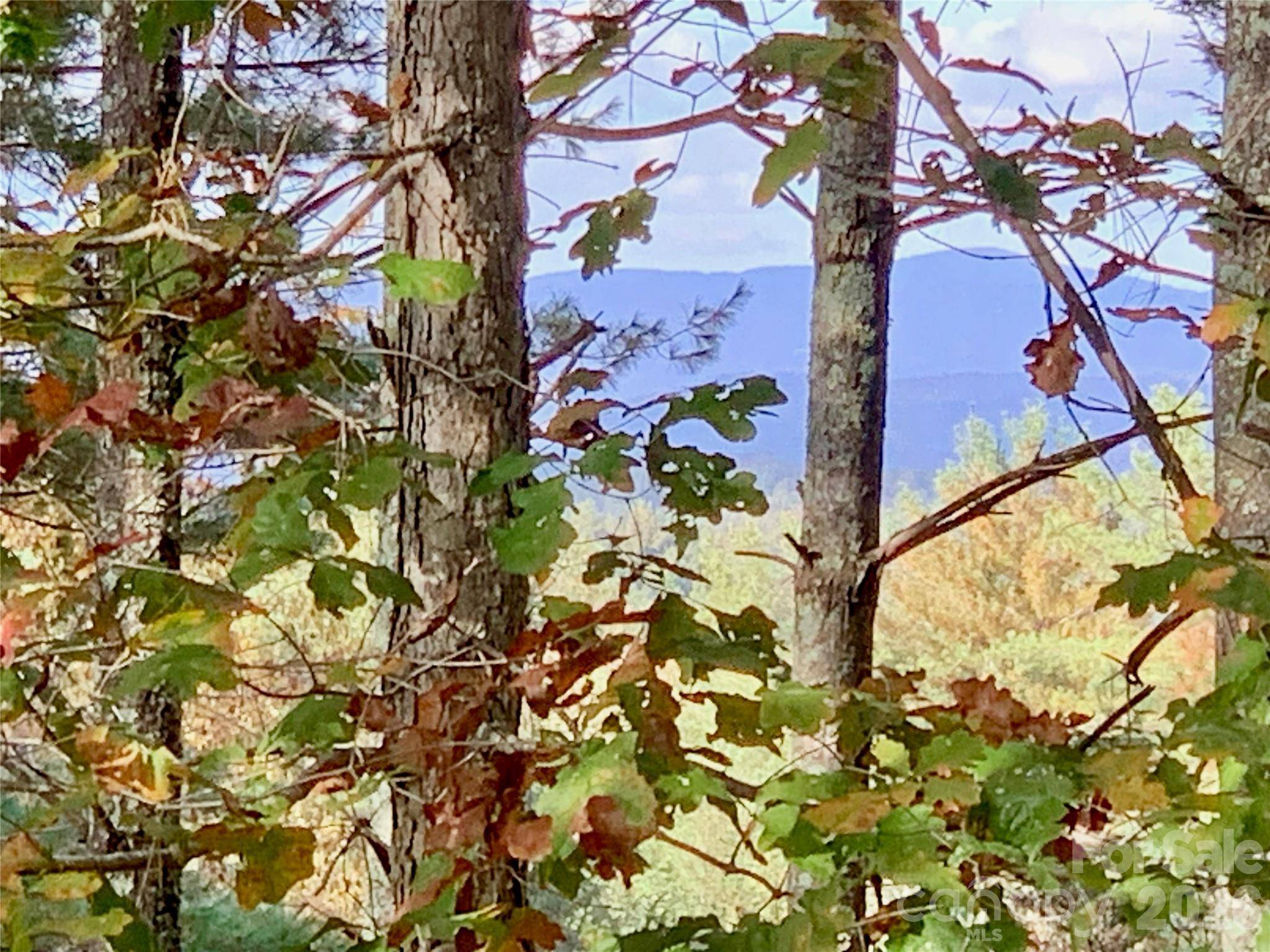 1.34 acres, Lot 234 Waterfall LN #234, Lenoir, NC 28645