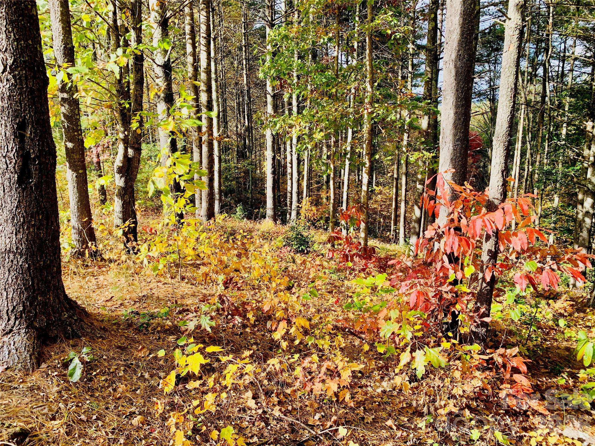 1.34 acres, Lot 234 Waterfall LN #234, Lenoir, NC 28645