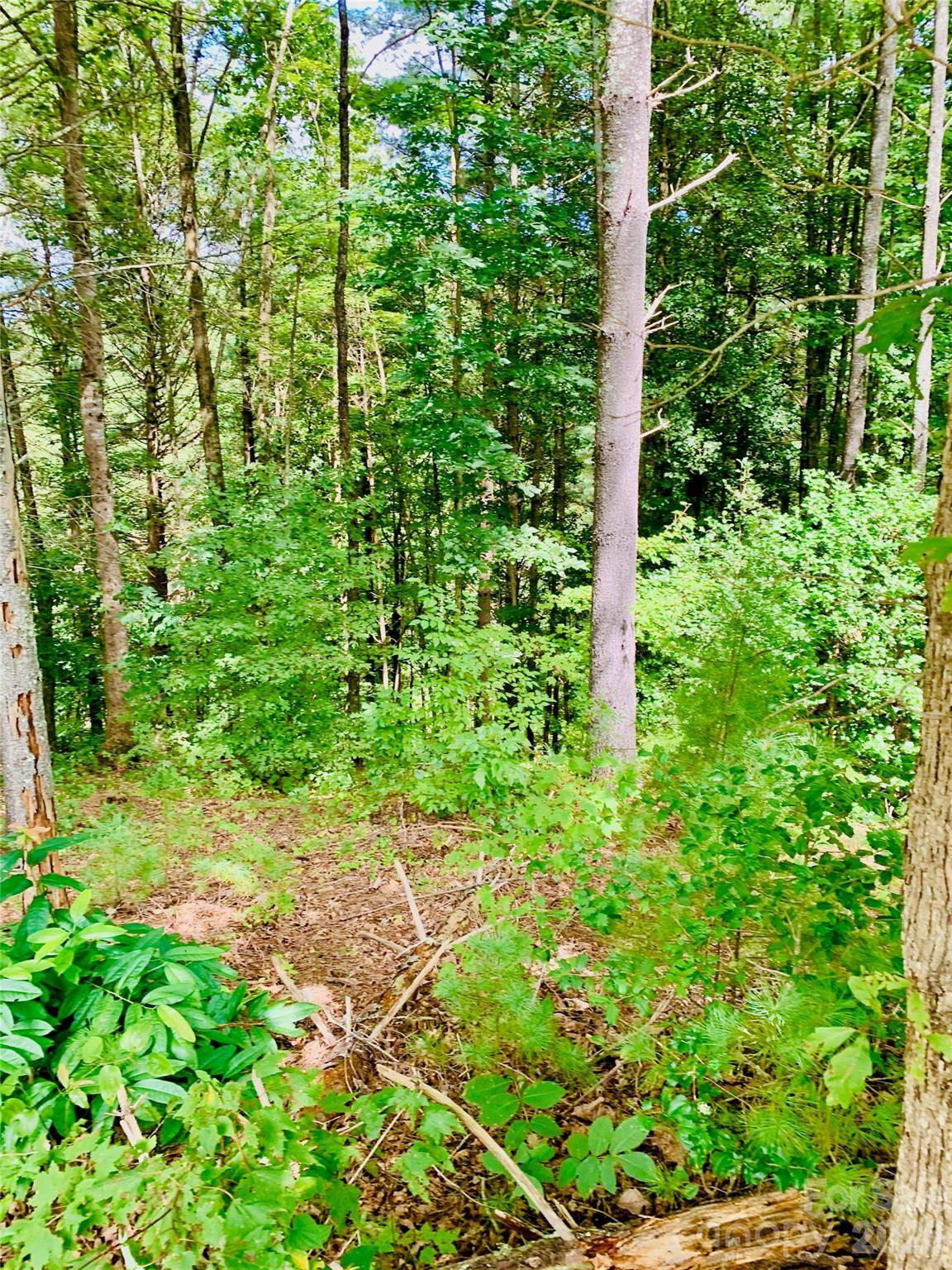 1.34 acres, Lot 234 Waterfall LN #234, Lenoir, NC 28645