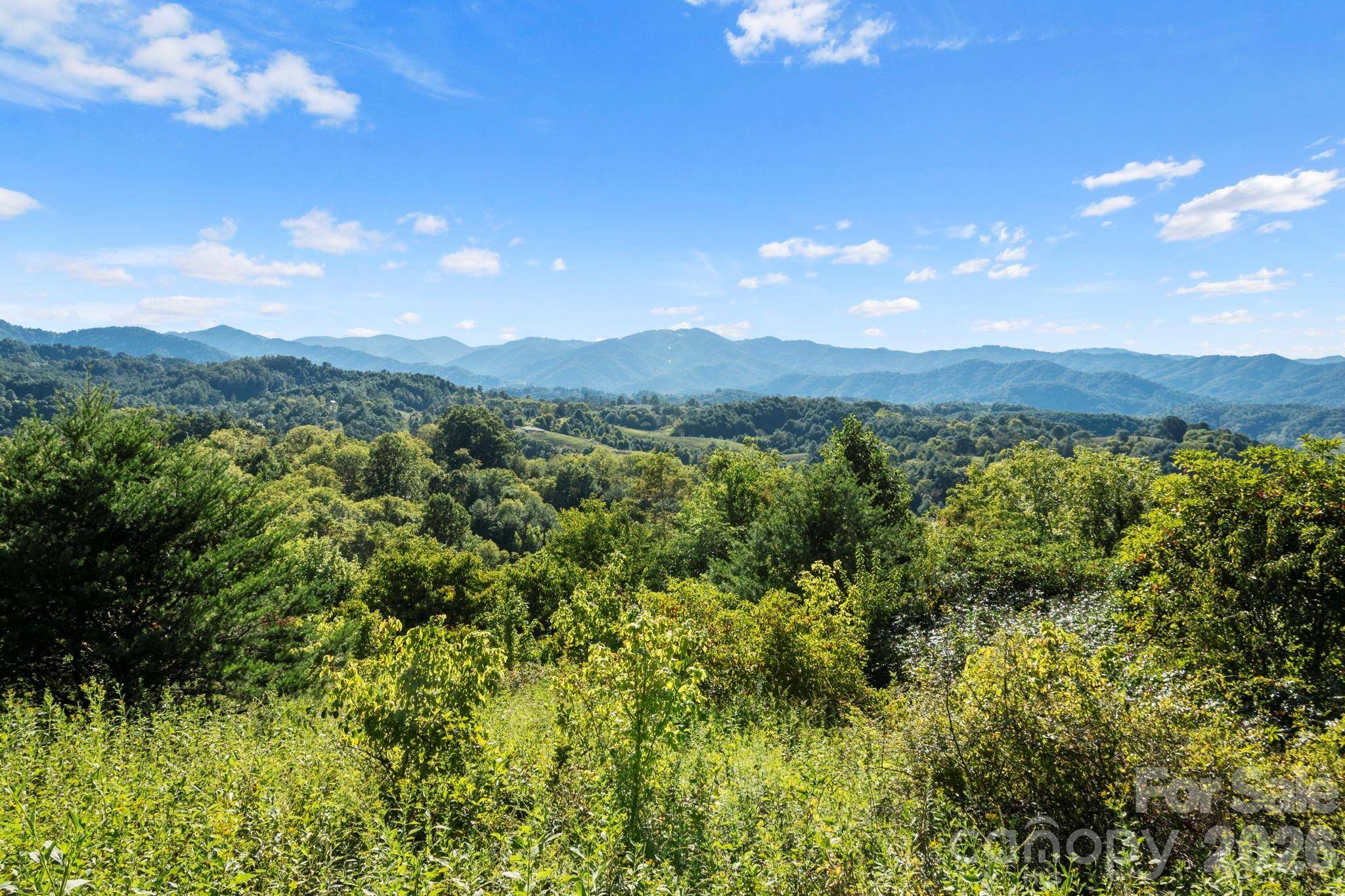 1231 Baileys Branch RD #3, Marshall, NC 28753