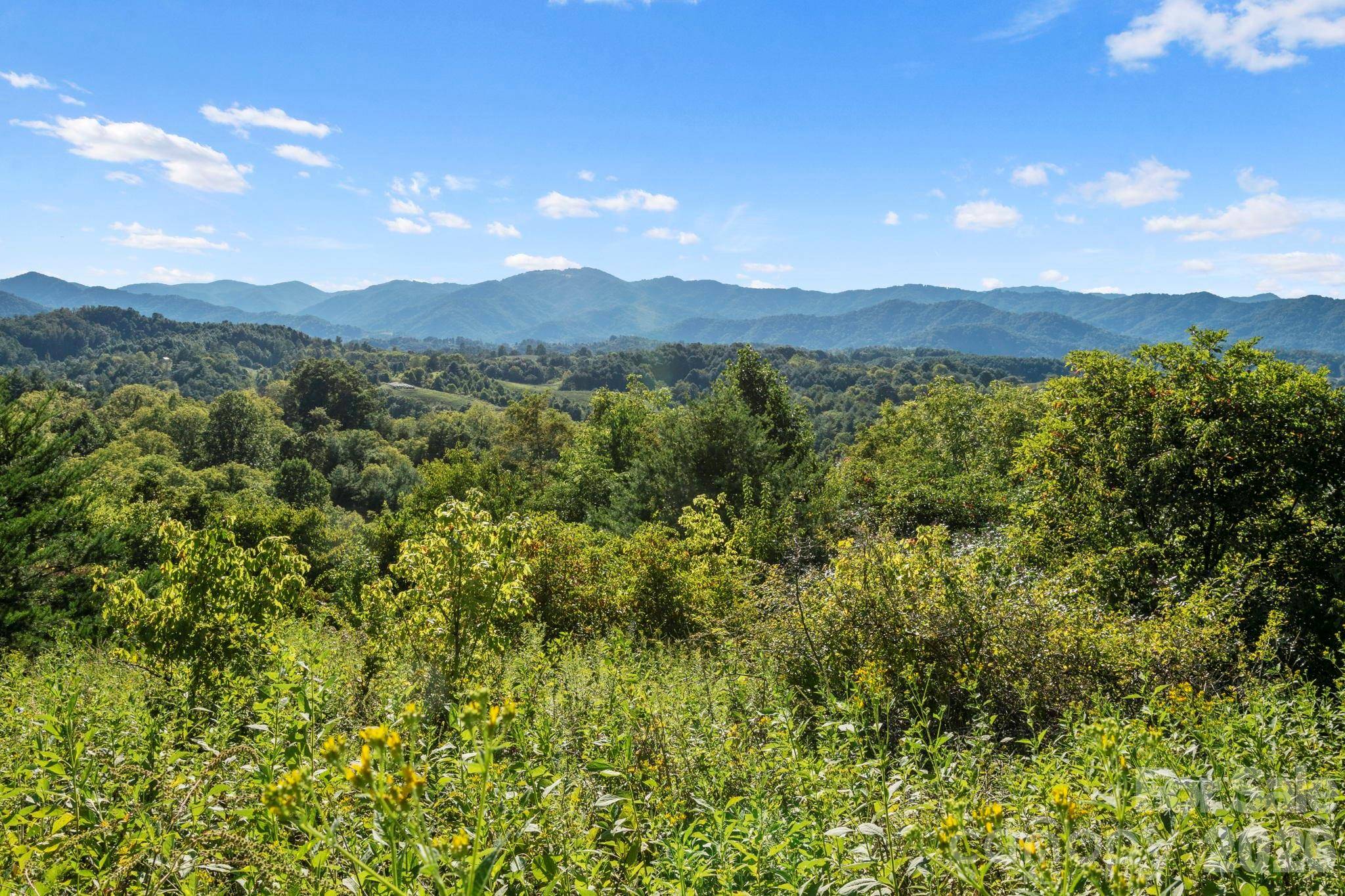 1231 Baileys Branch RD #3, Marshall, NC 28753