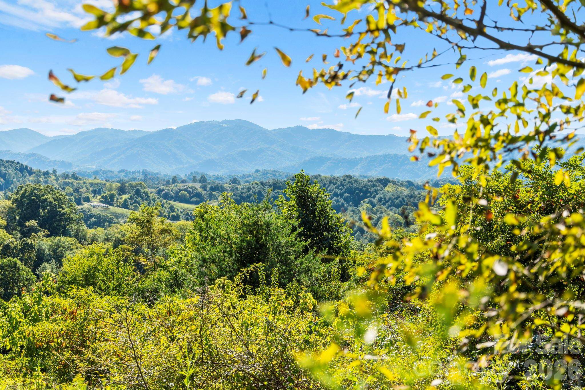 1231 Baileys Branch RD #3, Marshall, NC 28753