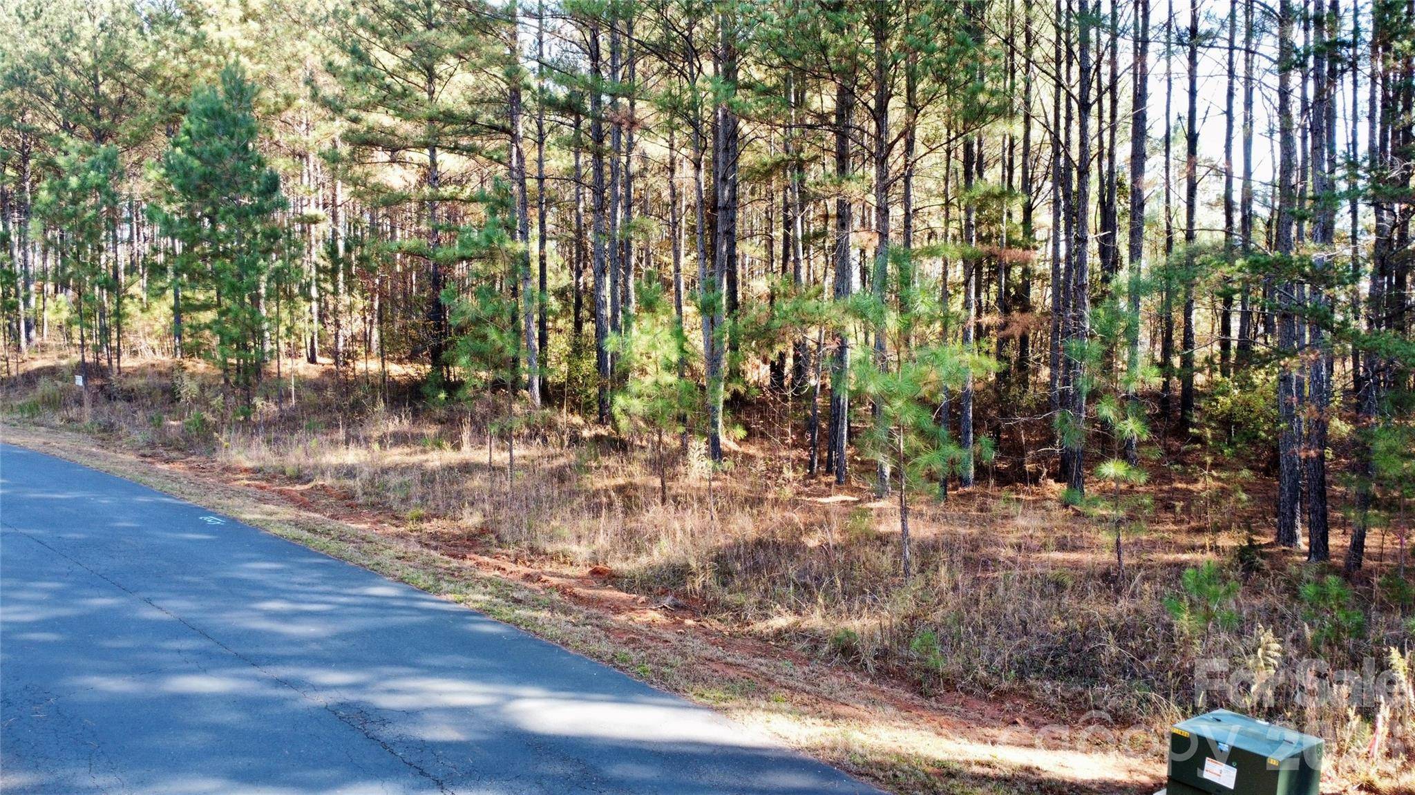 127 Whispering Pines LN #70A, Mooresboro, NC 28114