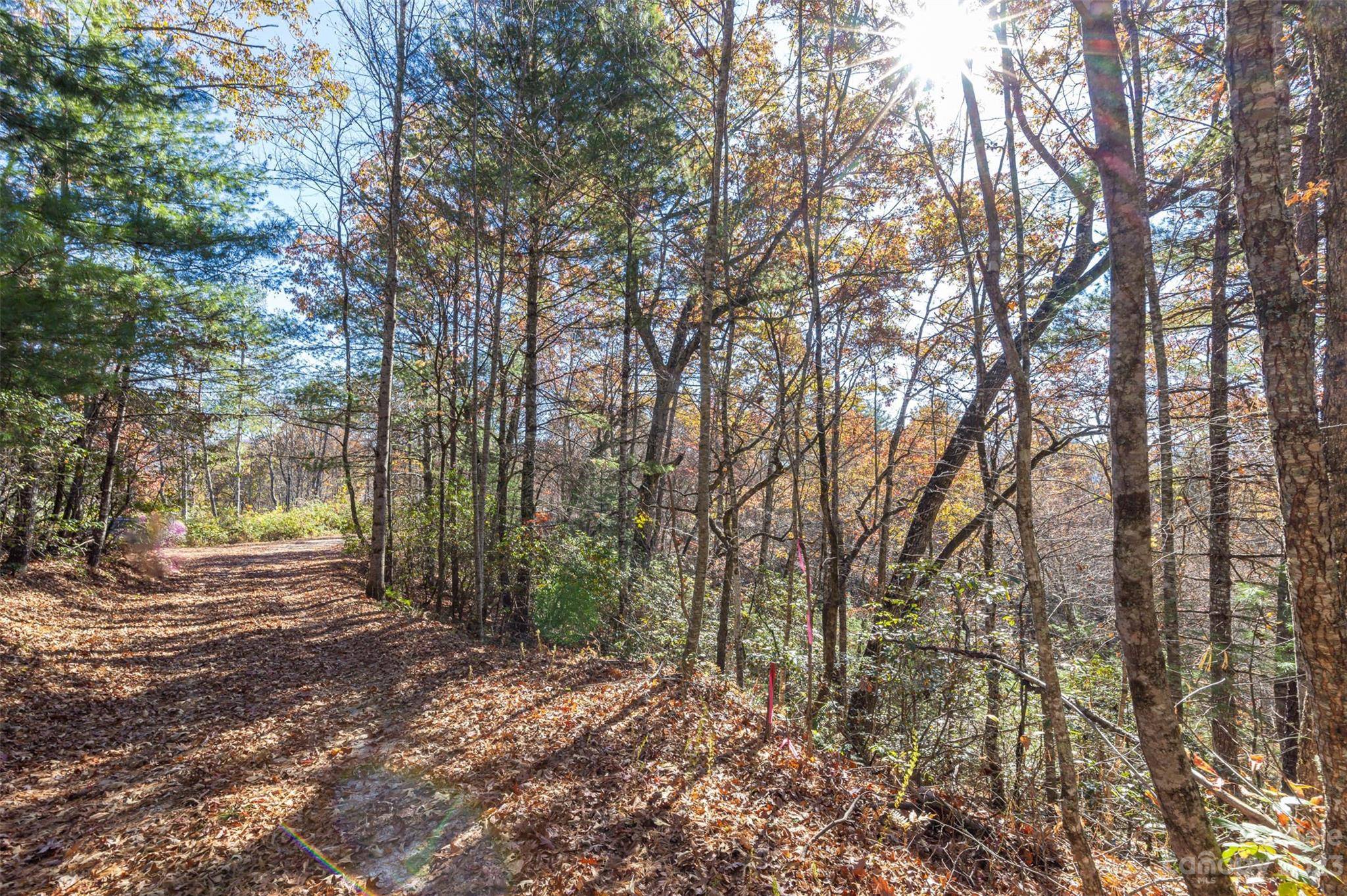 000 Needmore RD, Bryson City, NC 28713