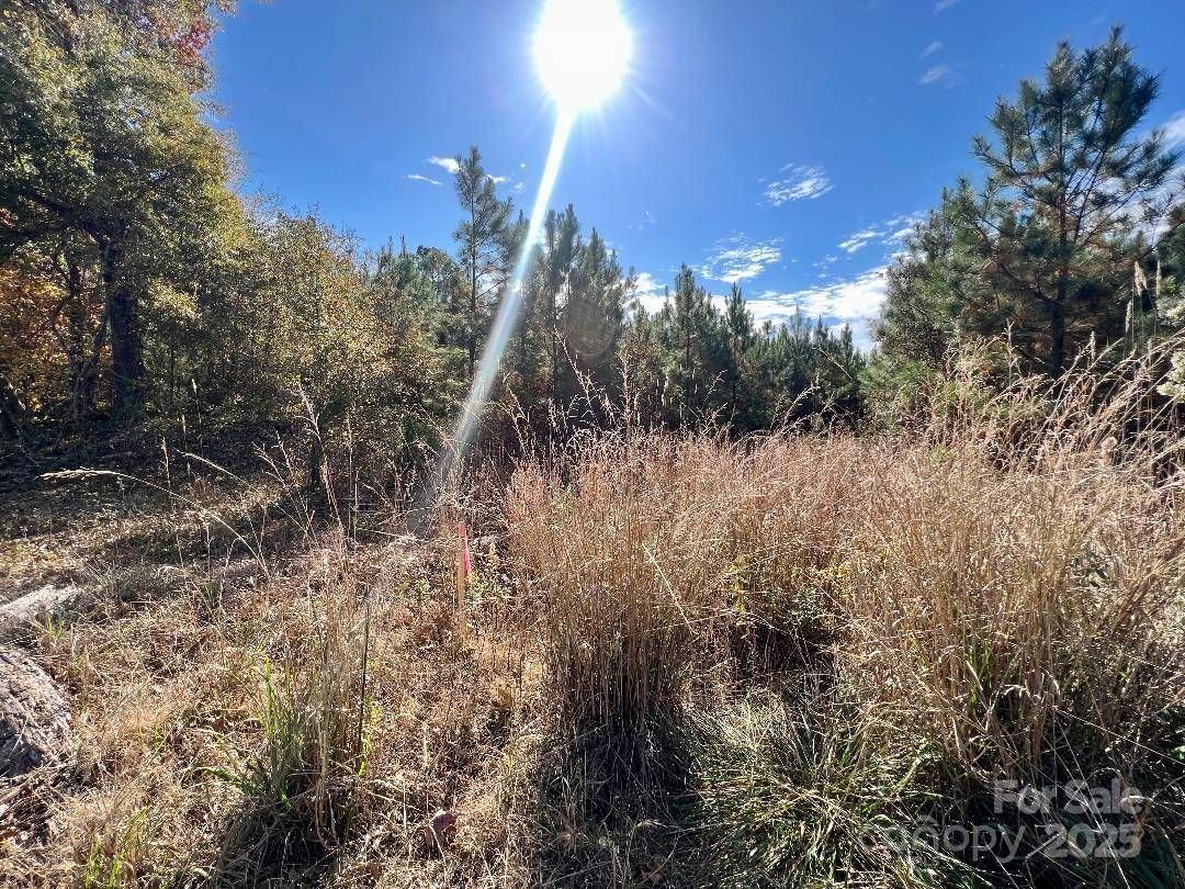11.53 acres Old Camden HWY, Lancaster, SC 29720