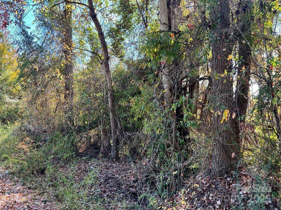 11.53 acres Old Camden HWY, Lancaster, SC 29720