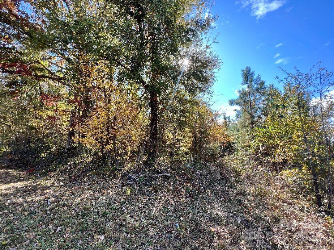 11.53 acres Old Camden HWY, Lancaster, SC 29720