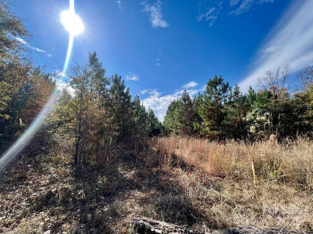 11.53 acres Old Camden HWY, Lancaster, SC 29720