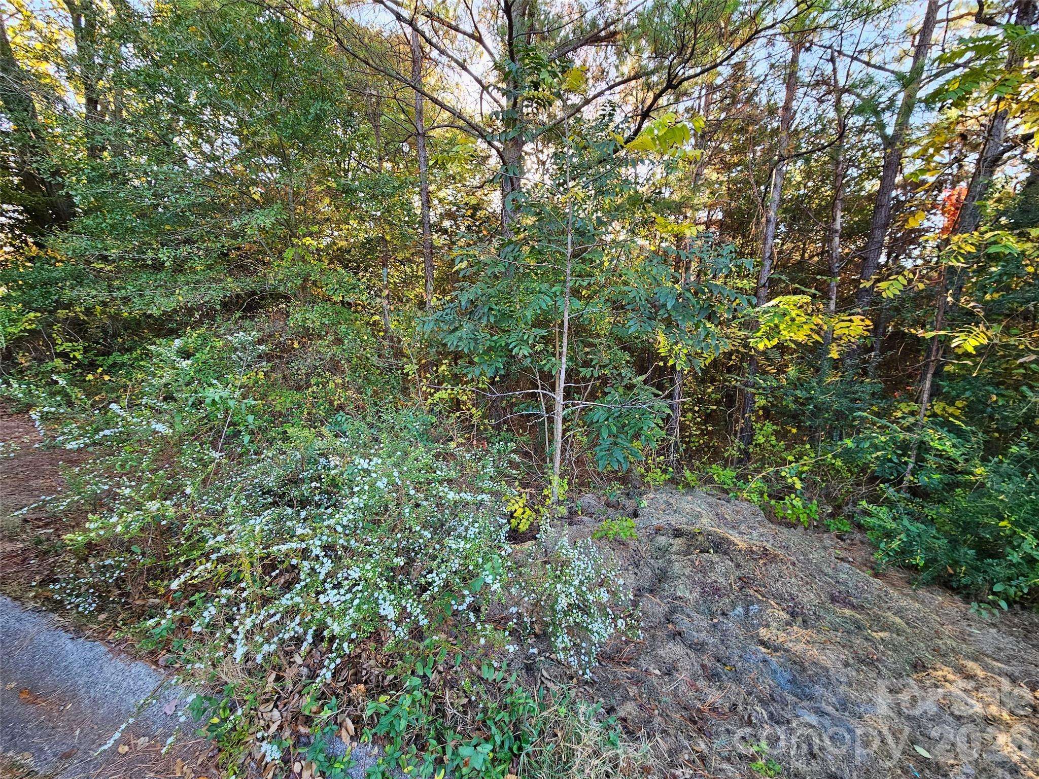 0 General Griffith CIR #25, Rutherfordton, NC 28139