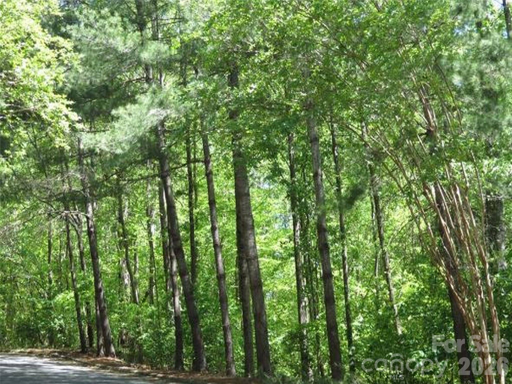 0 General Griffith CIR #25, Rutherfordton, NC 28139