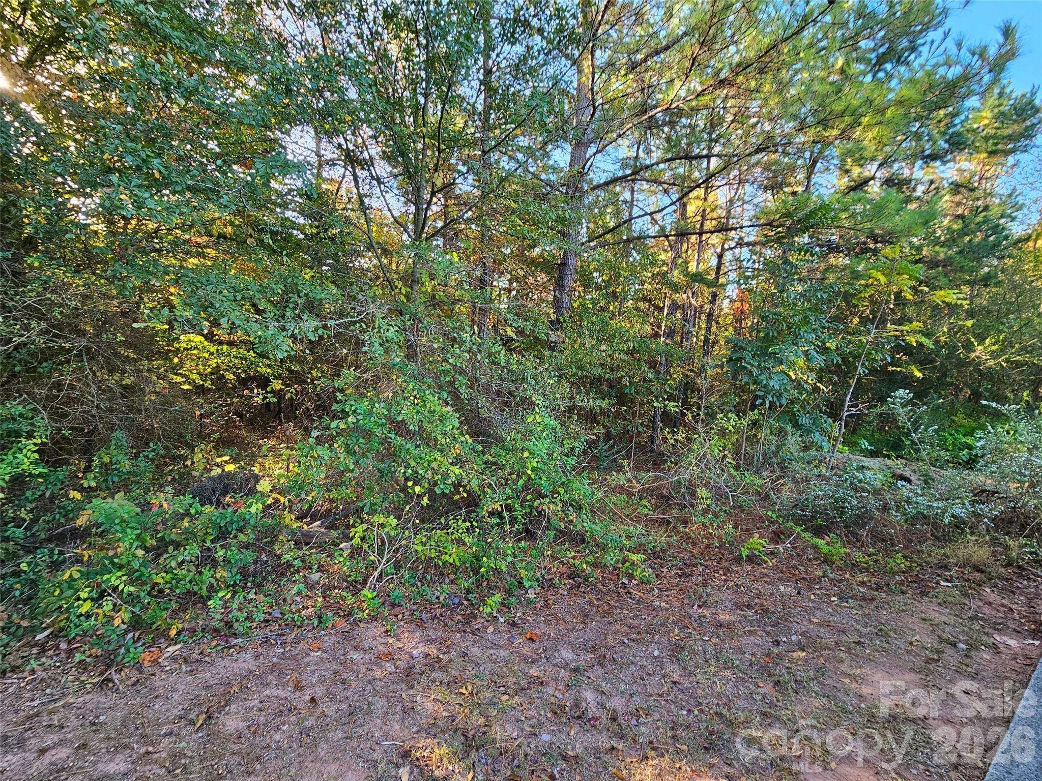 0 General Griffith CIR #25, Rutherfordton, NC 28139