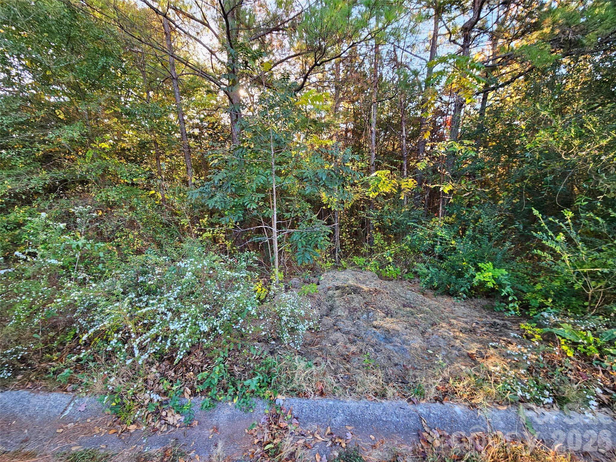 0 General Griffith CIR #25, Rutherfordton, NC 28139