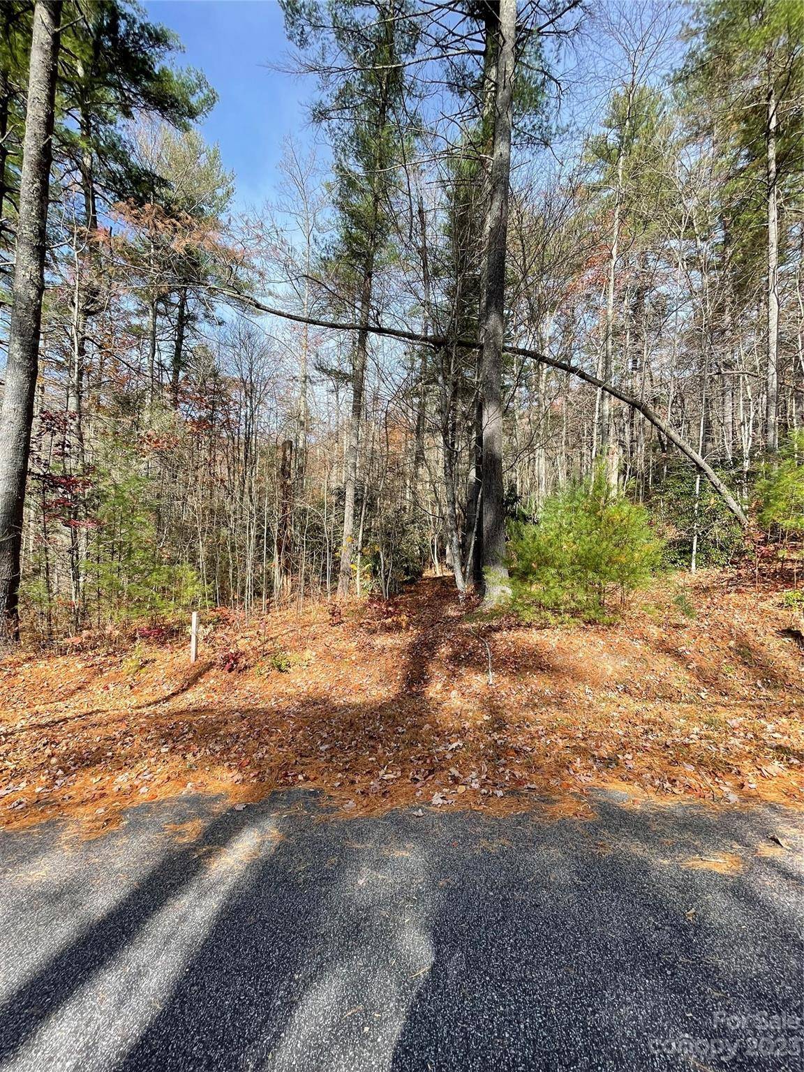 0000 Juniper Berry LN, Zirconia, NC 28792