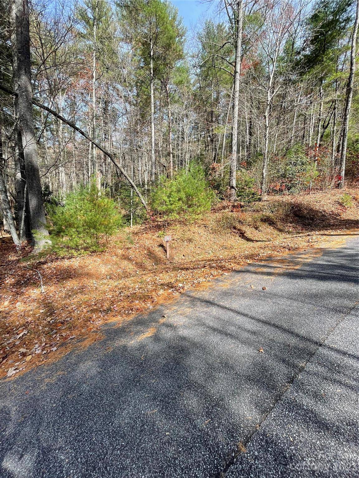 0000 Juniper Berry LN, Zirconia, NC 28792